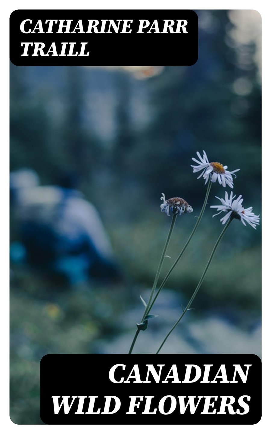 Canadian Wild Flowers Catharine Parr Traill
