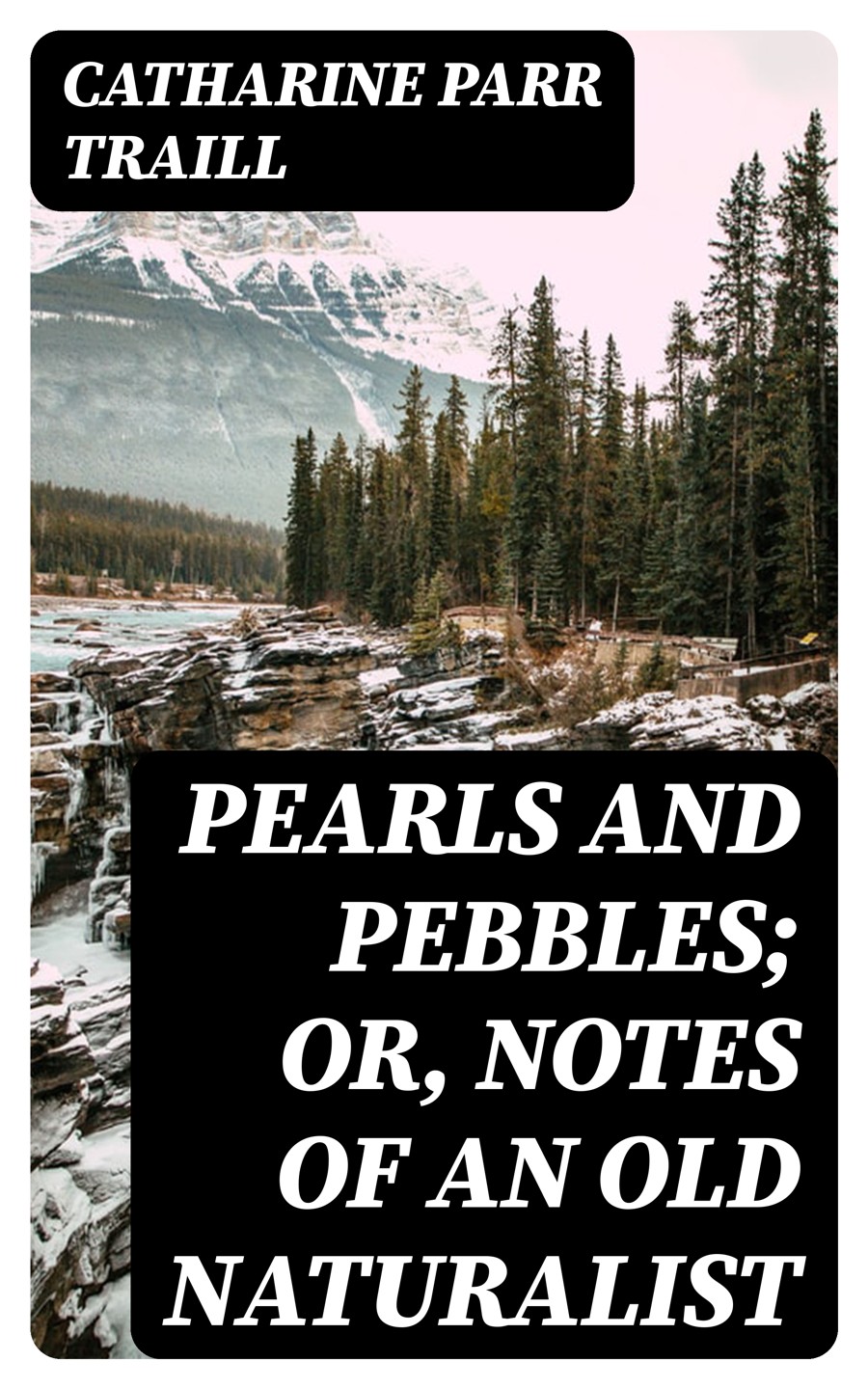 Pearls And Pebbles Or Notes Of An Old Naturalist Catharine Parr Traill