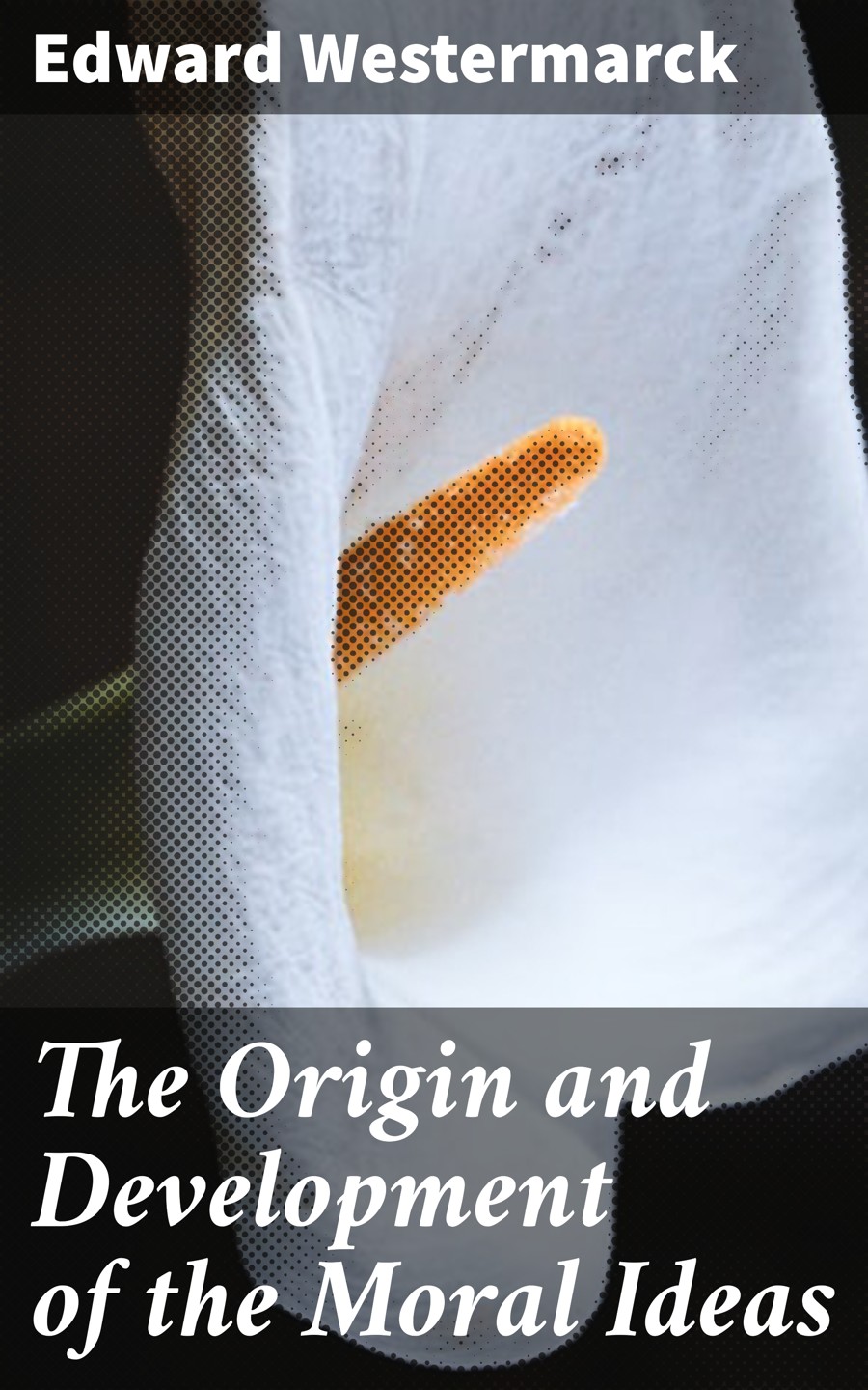 The Origin And Development Of The Moral Ideas Edward Westermarck
