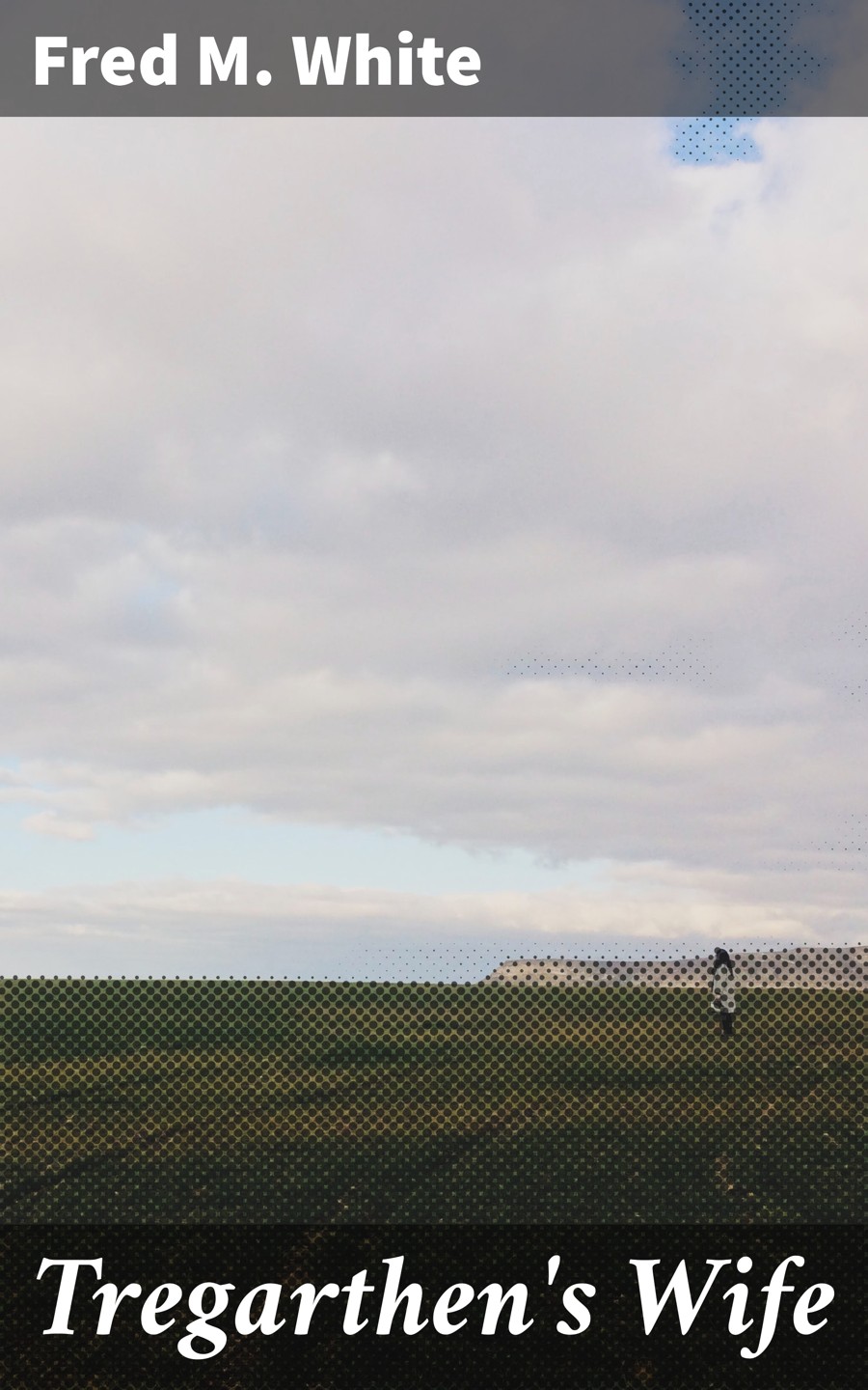 Tregarthens Wife Fred M White