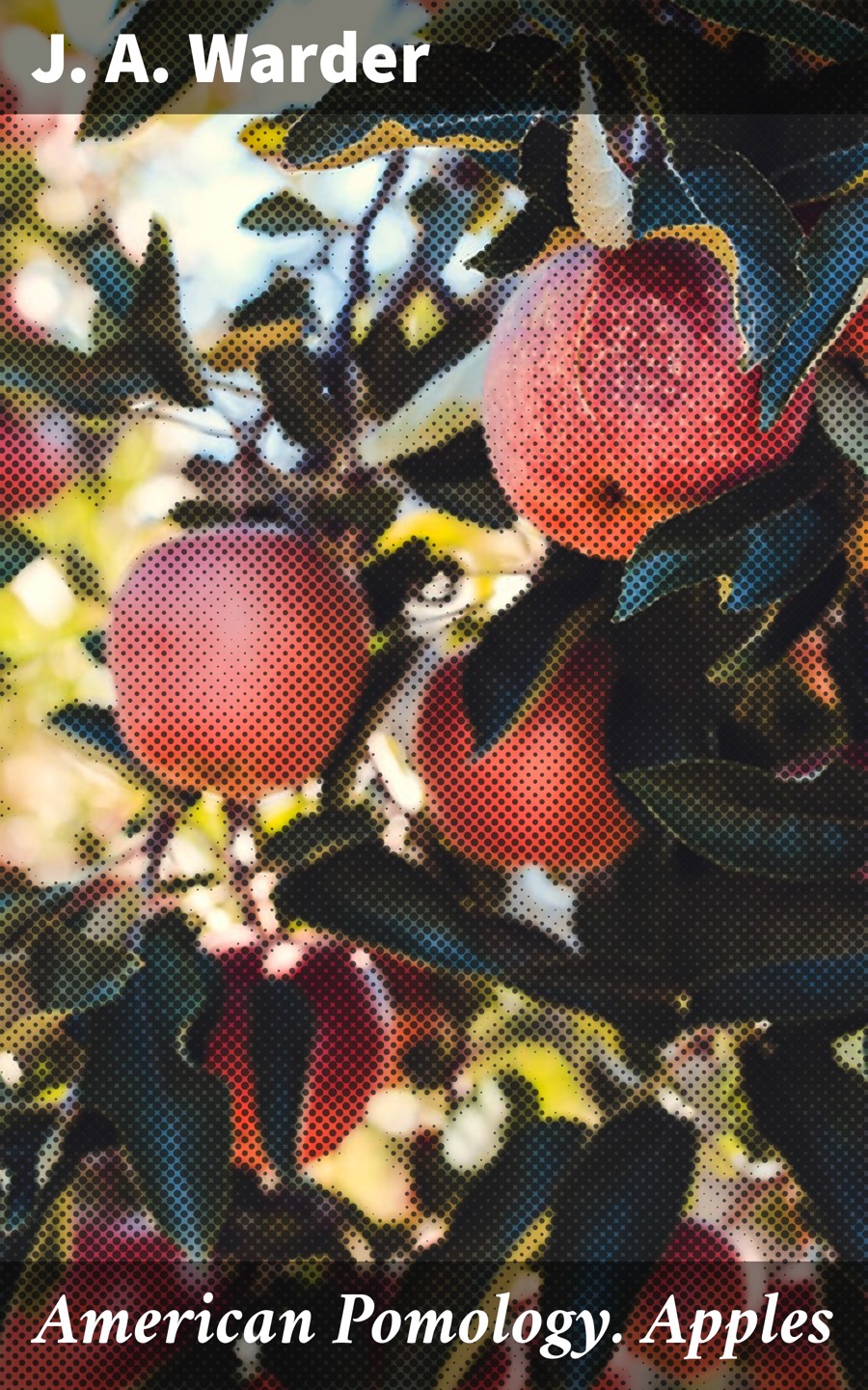 American Pomology Apples J A Warder