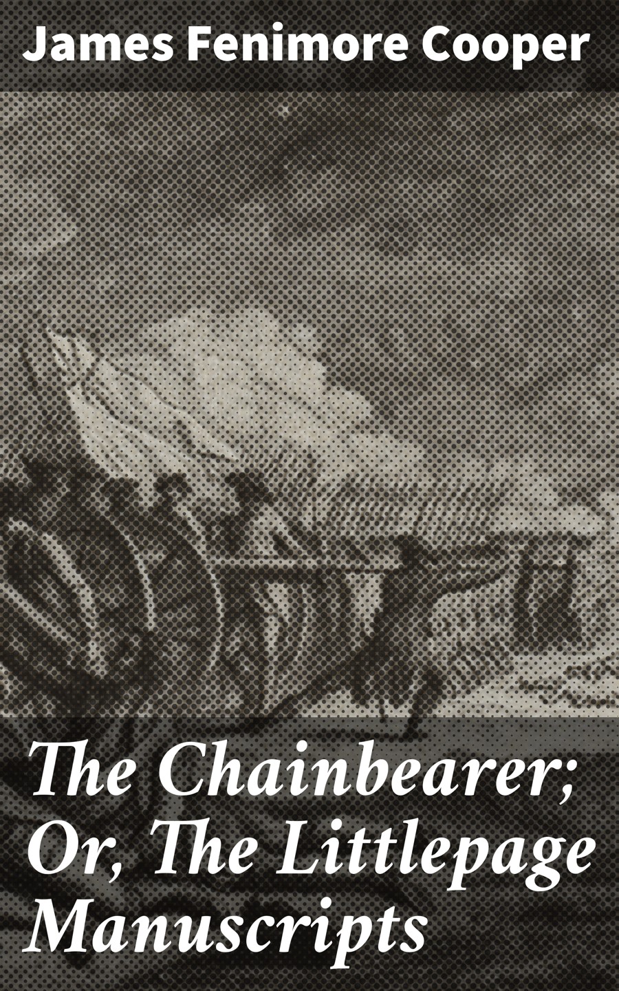 The Chainbearer Or The Littlepage Manuscripts James Fenimore Cooper