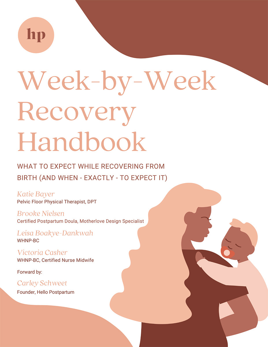 Weekbyweek Recovery Handbook Carley Schweet