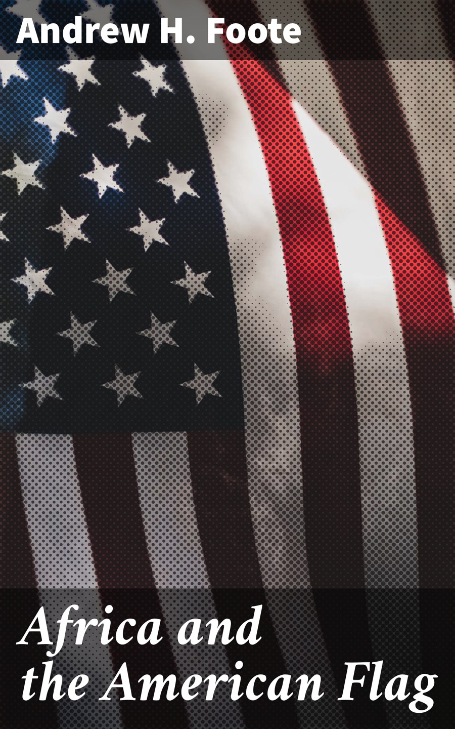 Africa And The American Flag Andrew H Foote