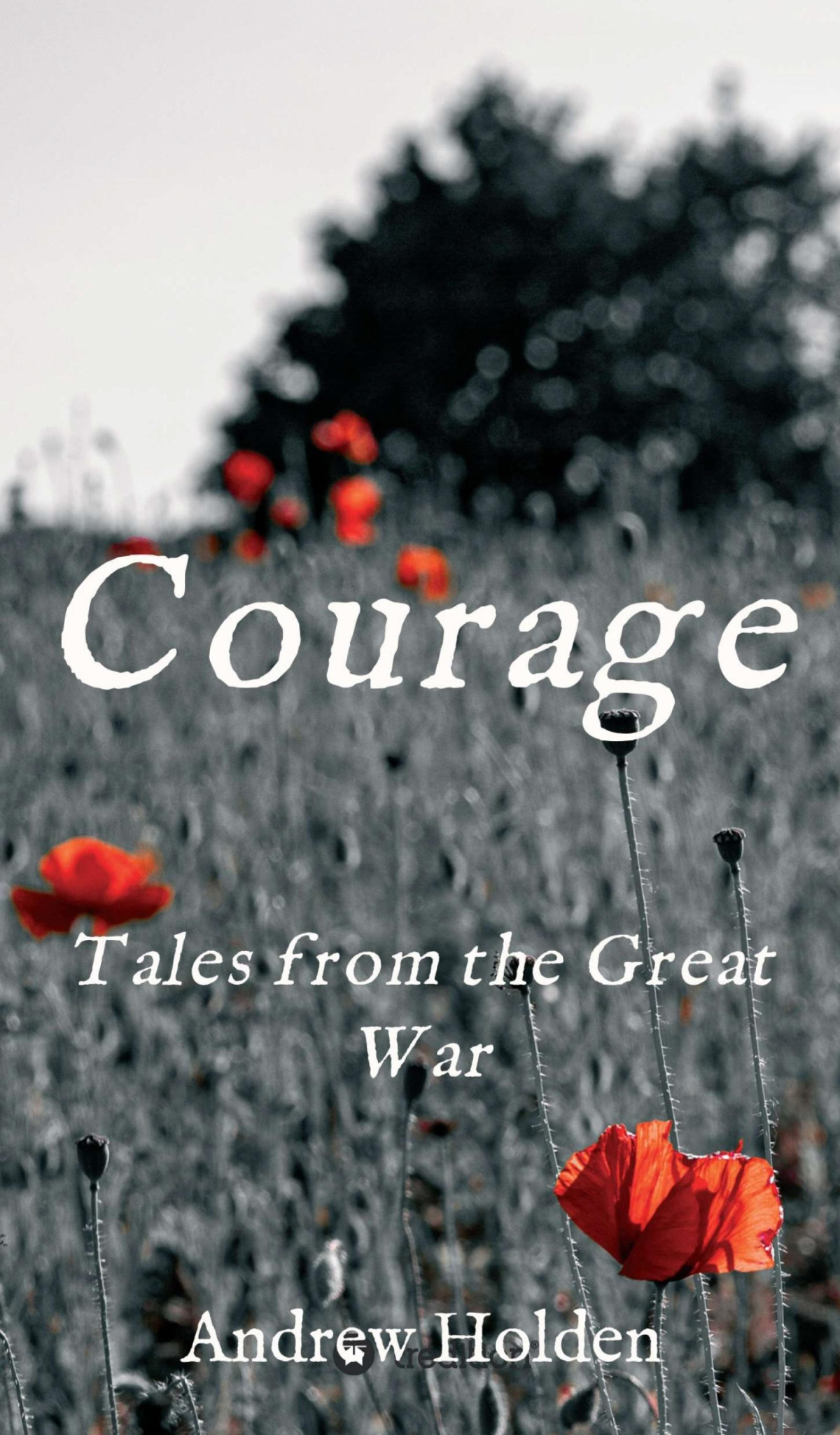 Courage Andrew Holden