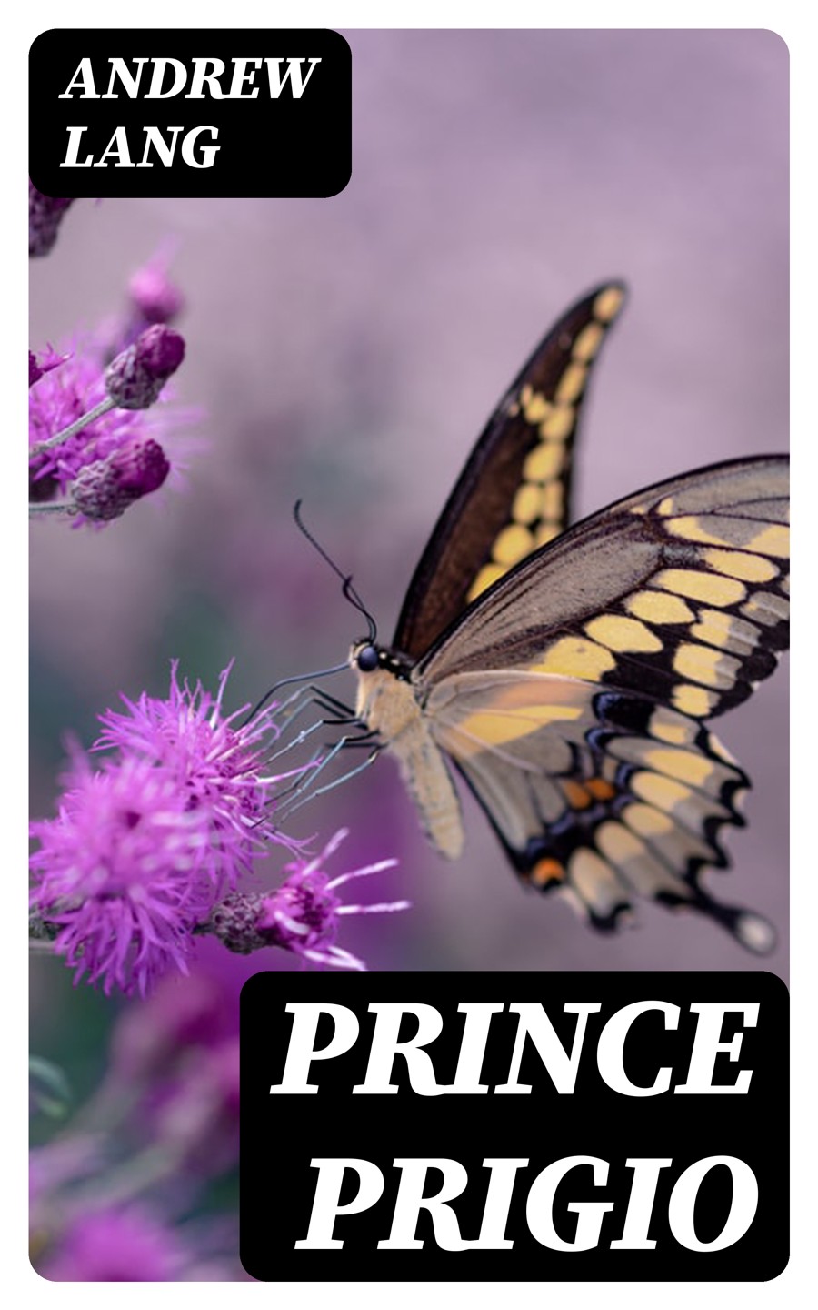 Prince Prigio Andrew Lang