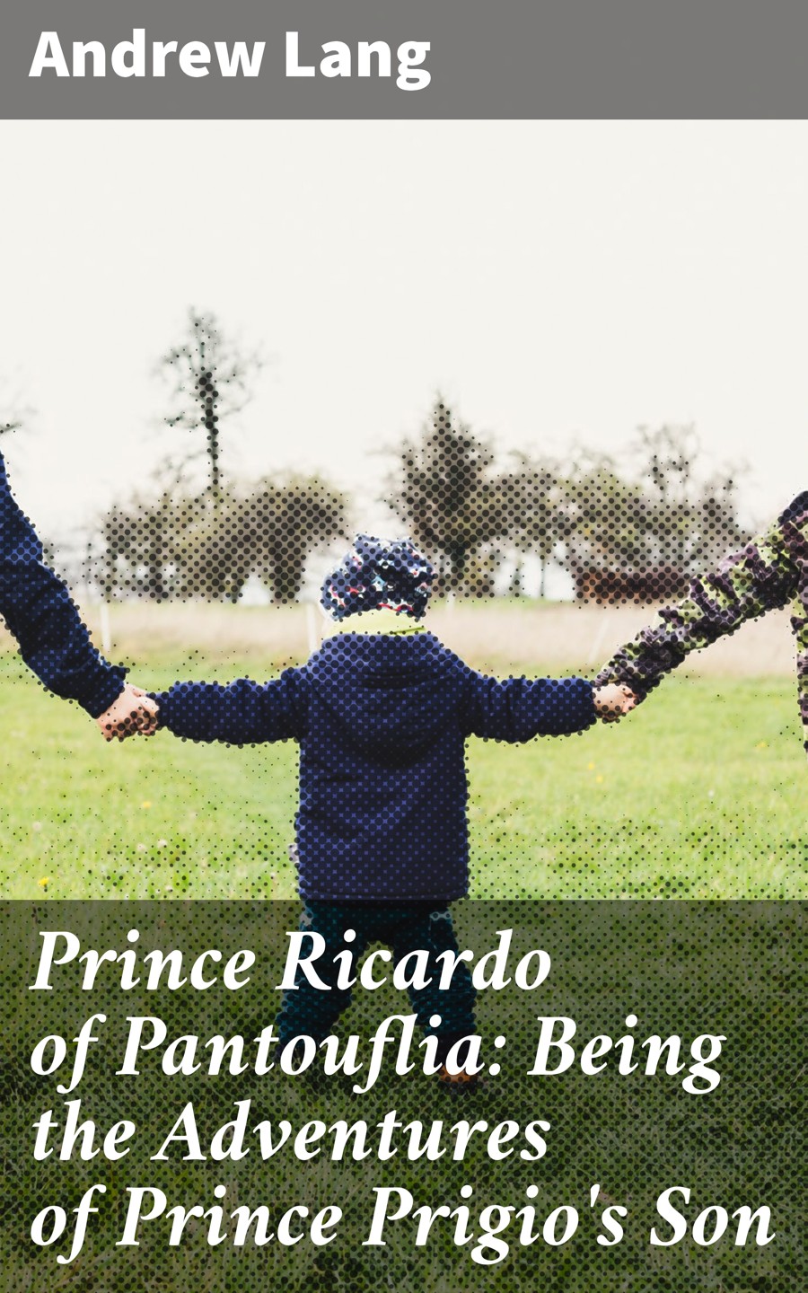 Prince Ricardo Of Pantouflia Being The Adventures Of Prince Prigios Son Andrew Lang