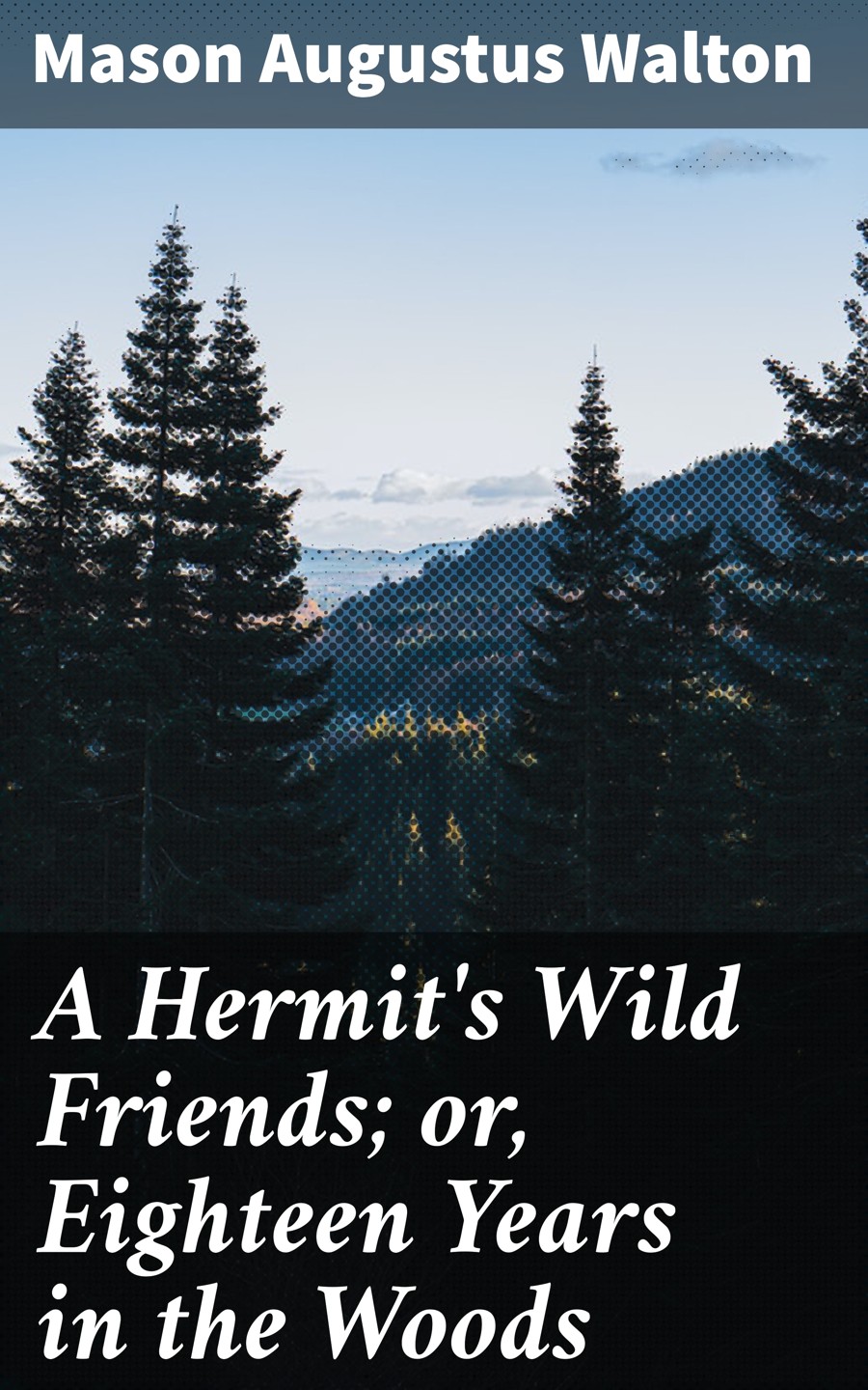 A Hermits Wild Friends Or Eighteen Years In The Woods Mason Augustus Walton