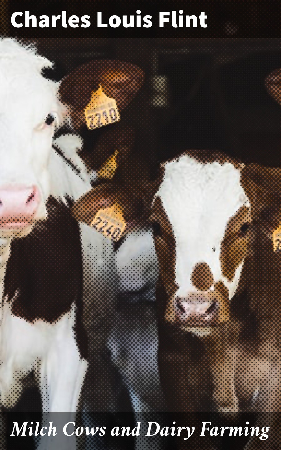 Milch Cows And Dairy Farming Charles Louis Flint