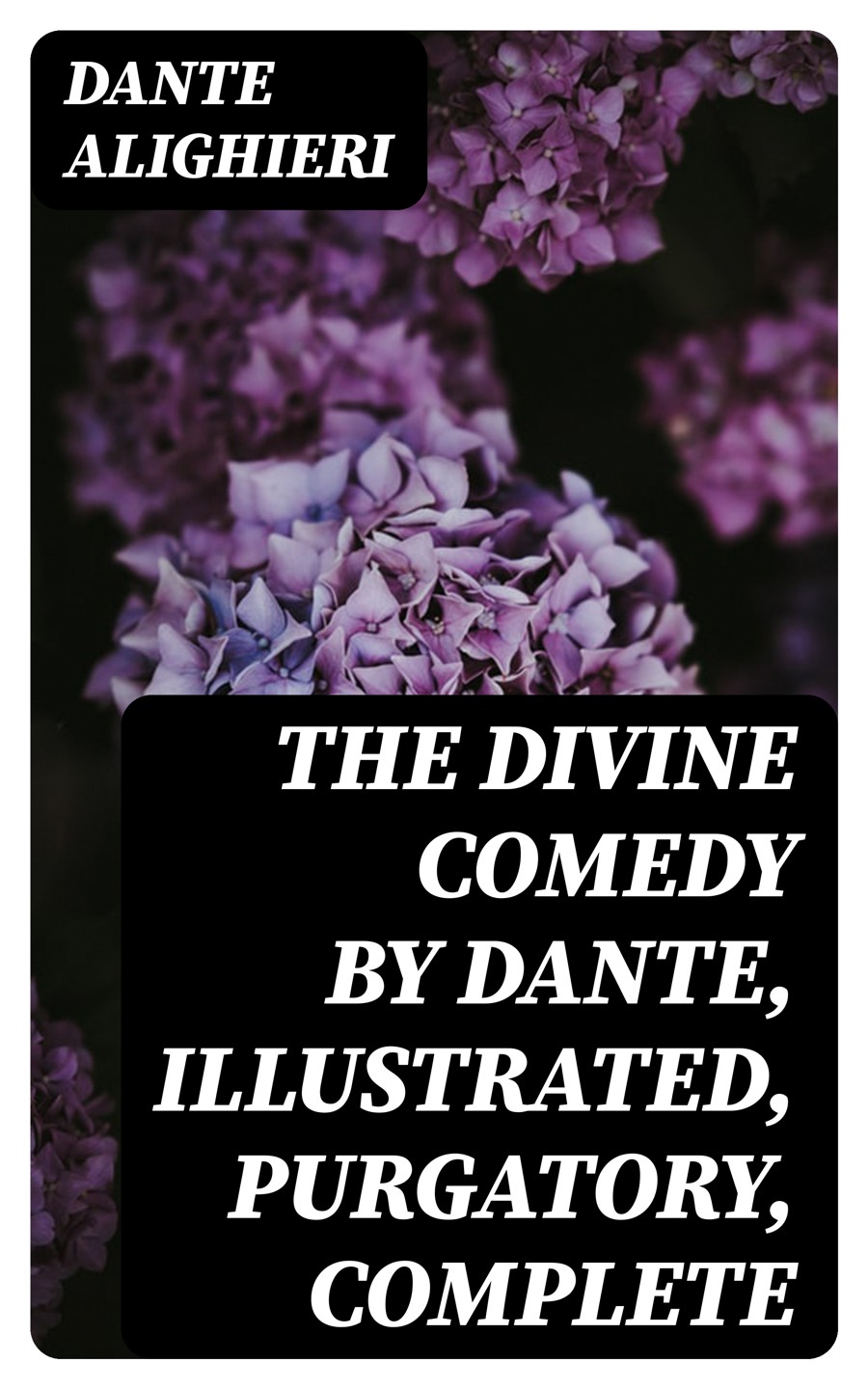The Divine Comedy By Dante Illustrated Purgatory Complete Dante Alighieri