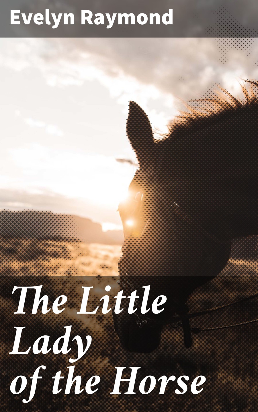 The Little Lady Of The Horse Evelyn Raymond