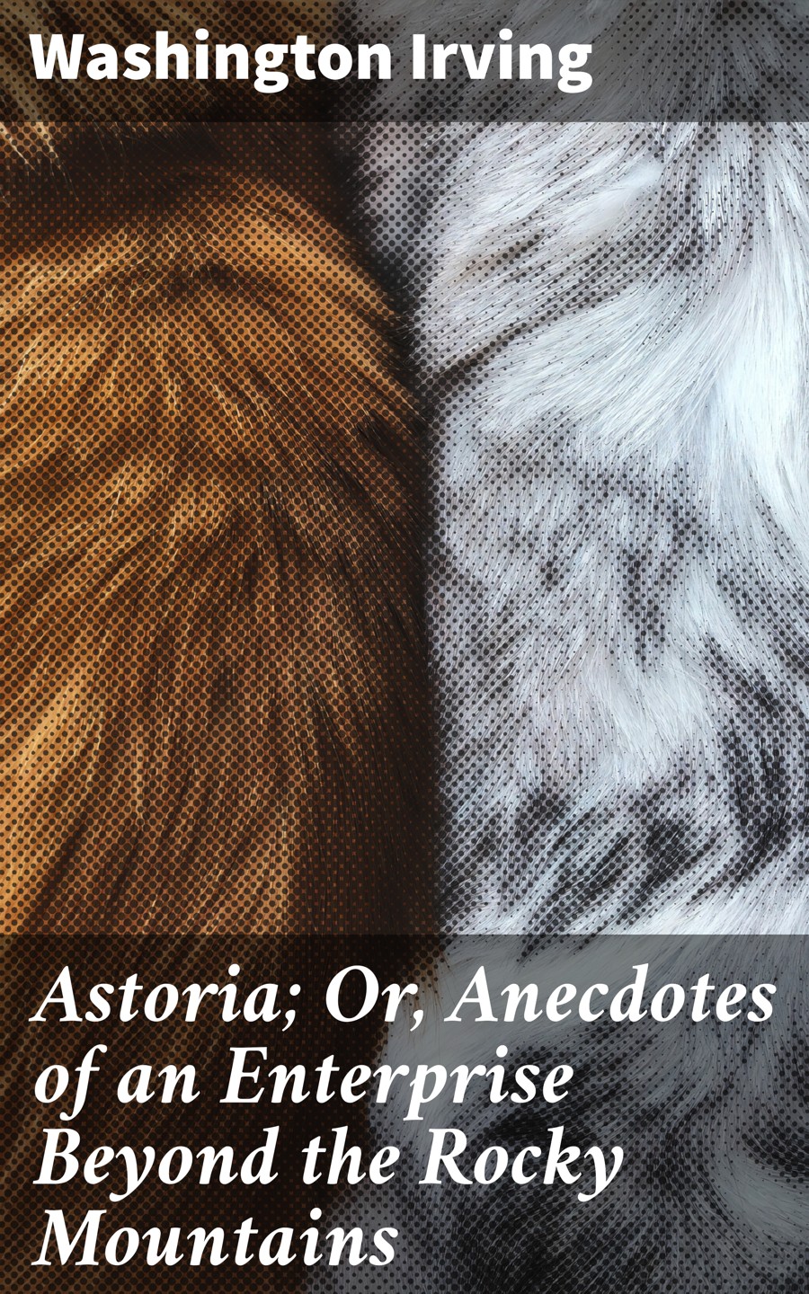 Astoria Or Anecdotes Of An Enterprise Beyond The Rocky Mountains Washington Irving