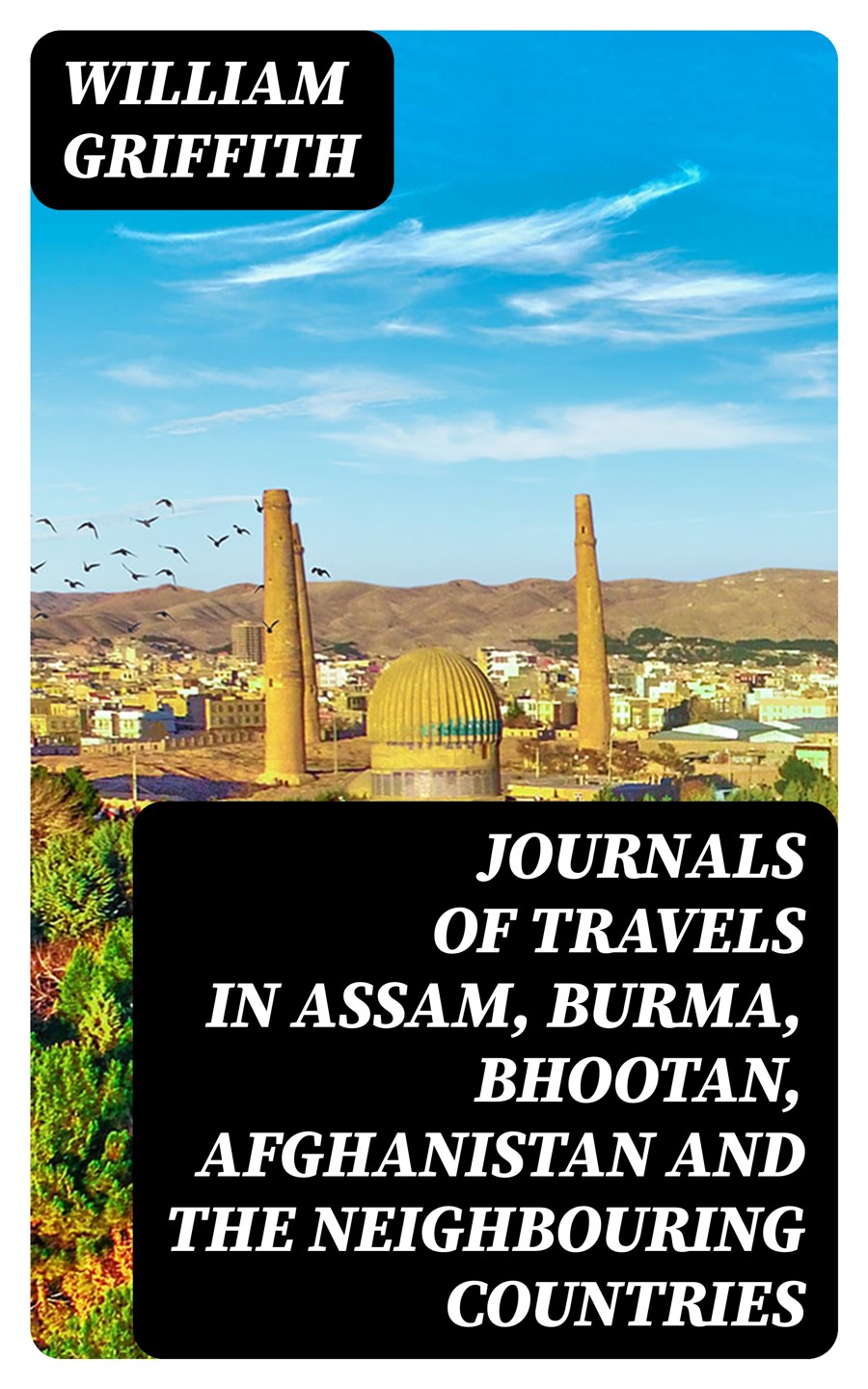 Journals Of Travels In Assam Burma Bhootan Afghanistan And The Neighbouring Countries William Griffith