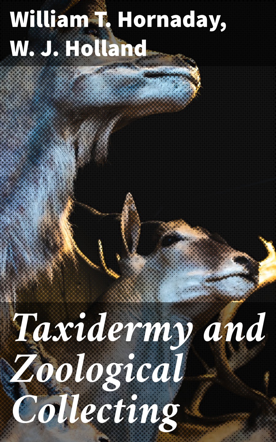 Taxidermy And Zoological Collecting William T Hornaday W J Holland
