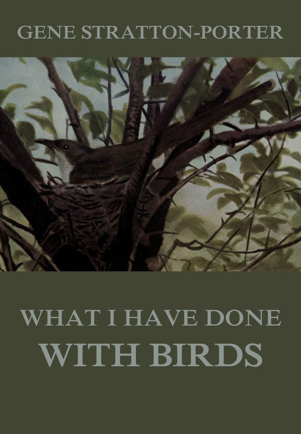What I Have Done With Birds Gene Strattonporter
