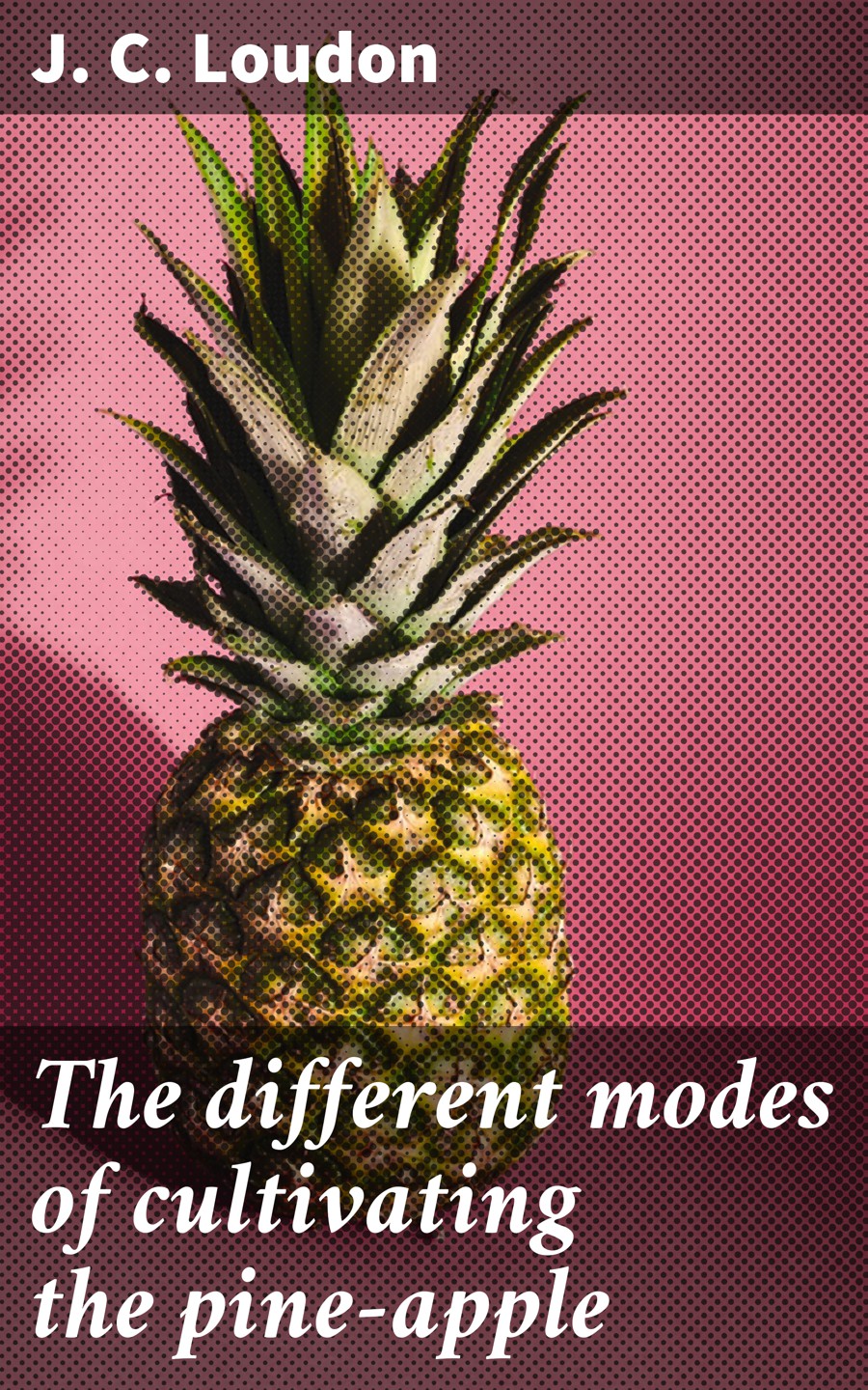 The Different Modes Of Cultivating The Pineapple J C Loudon