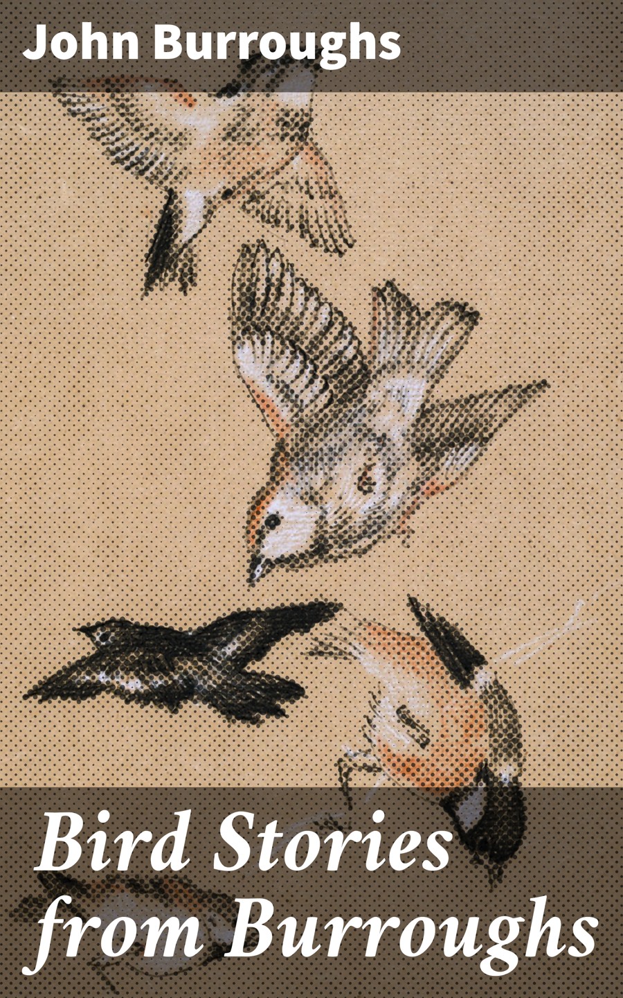 Bird Stories From Burroughs John Burroughs