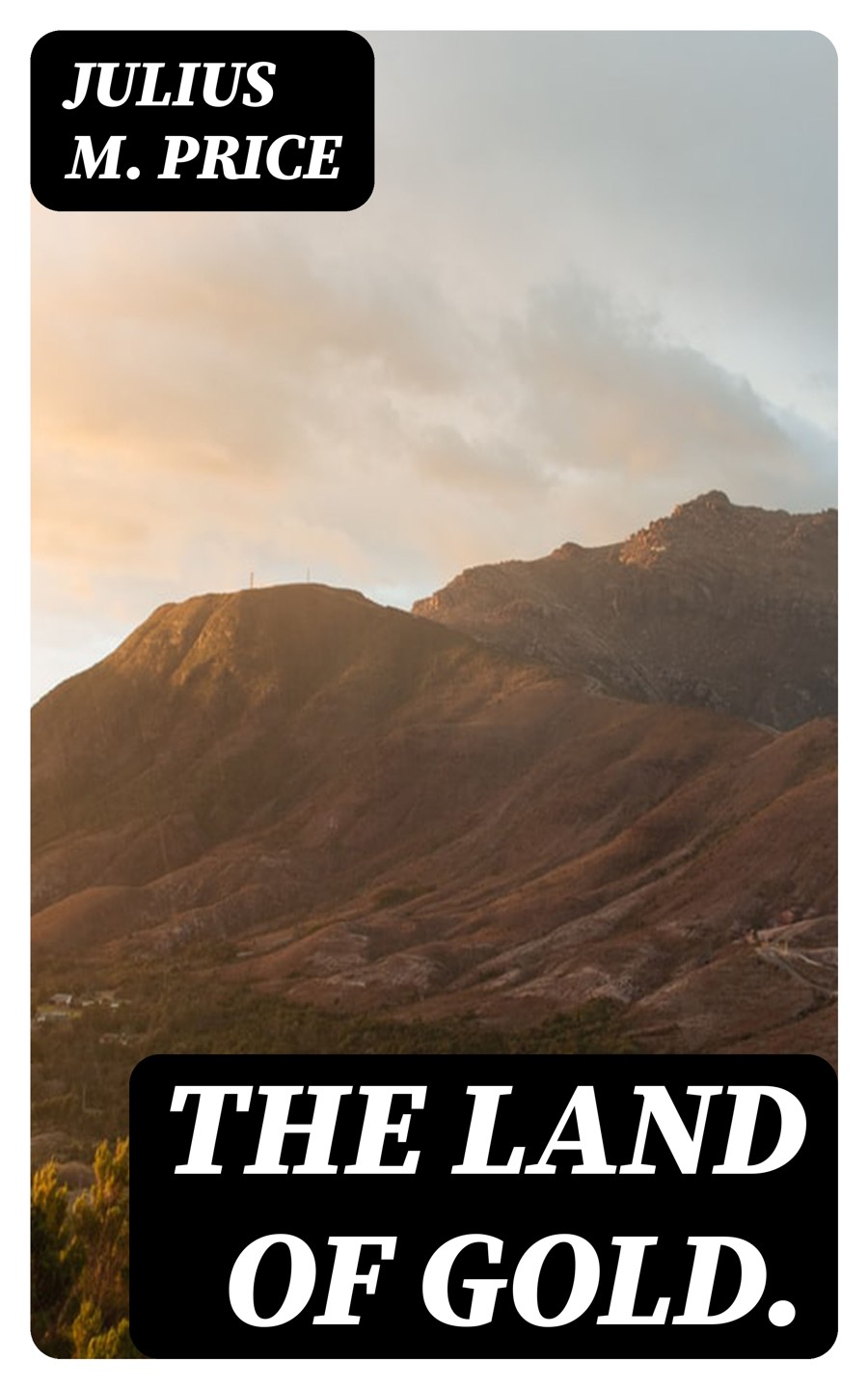 The Land Of Gold Julius M Price