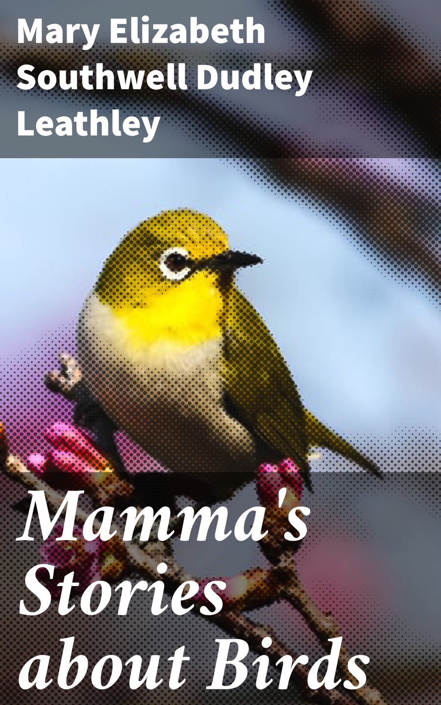 Mammas Stories About Birds Mary Elizabeth Southwell Dudley Leathley
