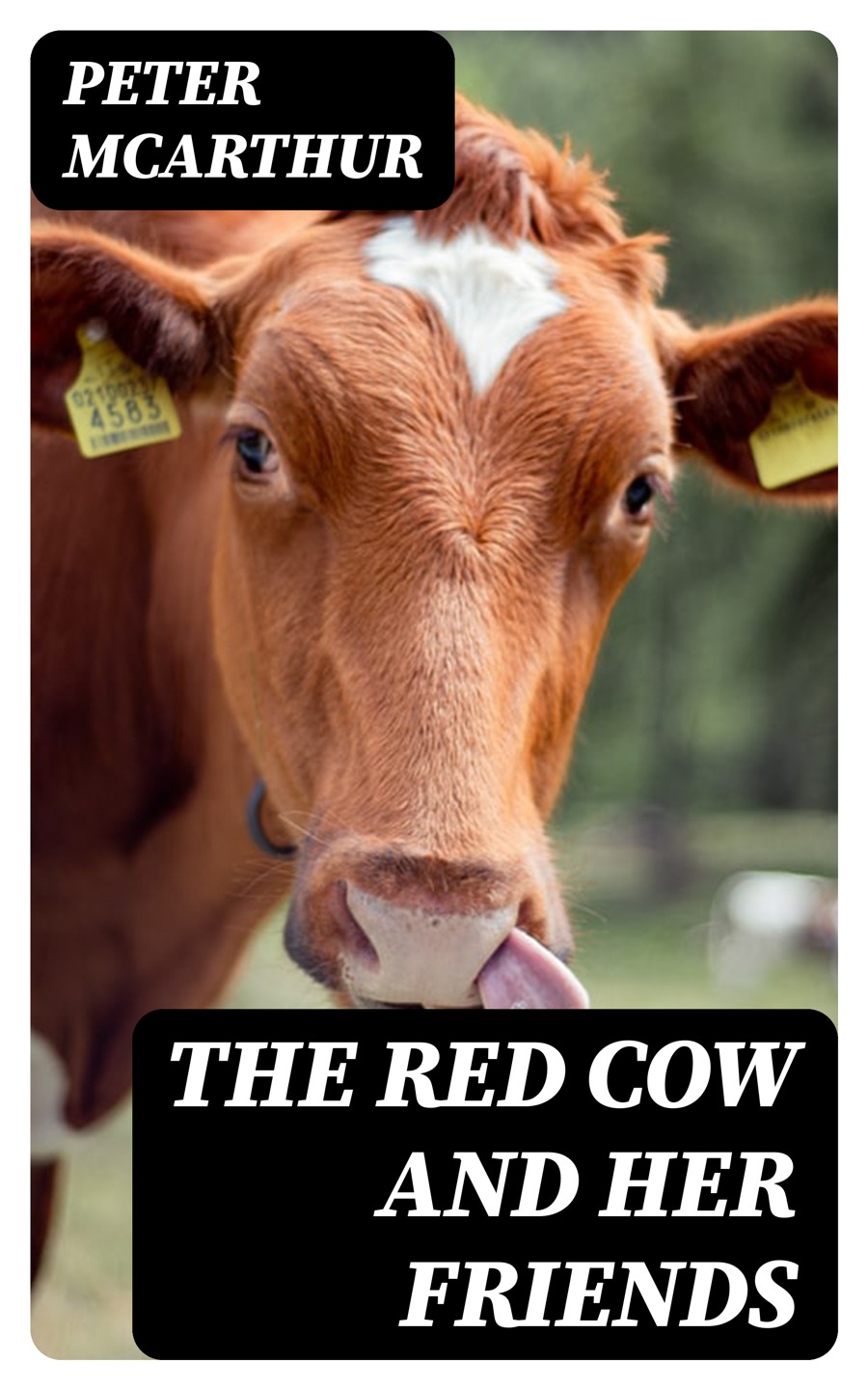 The Red Cow And Her Friends Peter Mcarthur