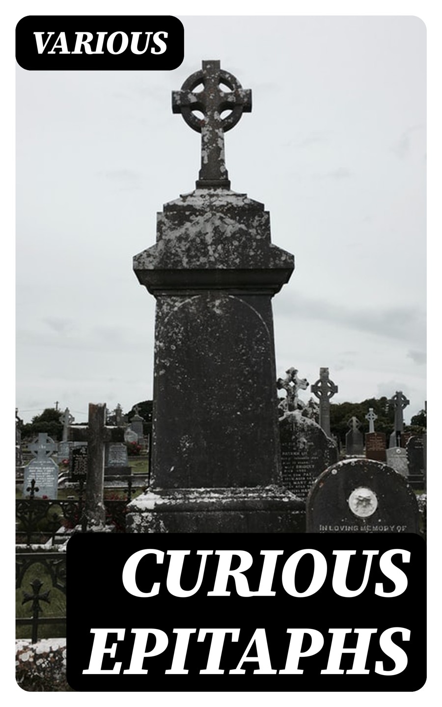 Curious Epitaphs Various