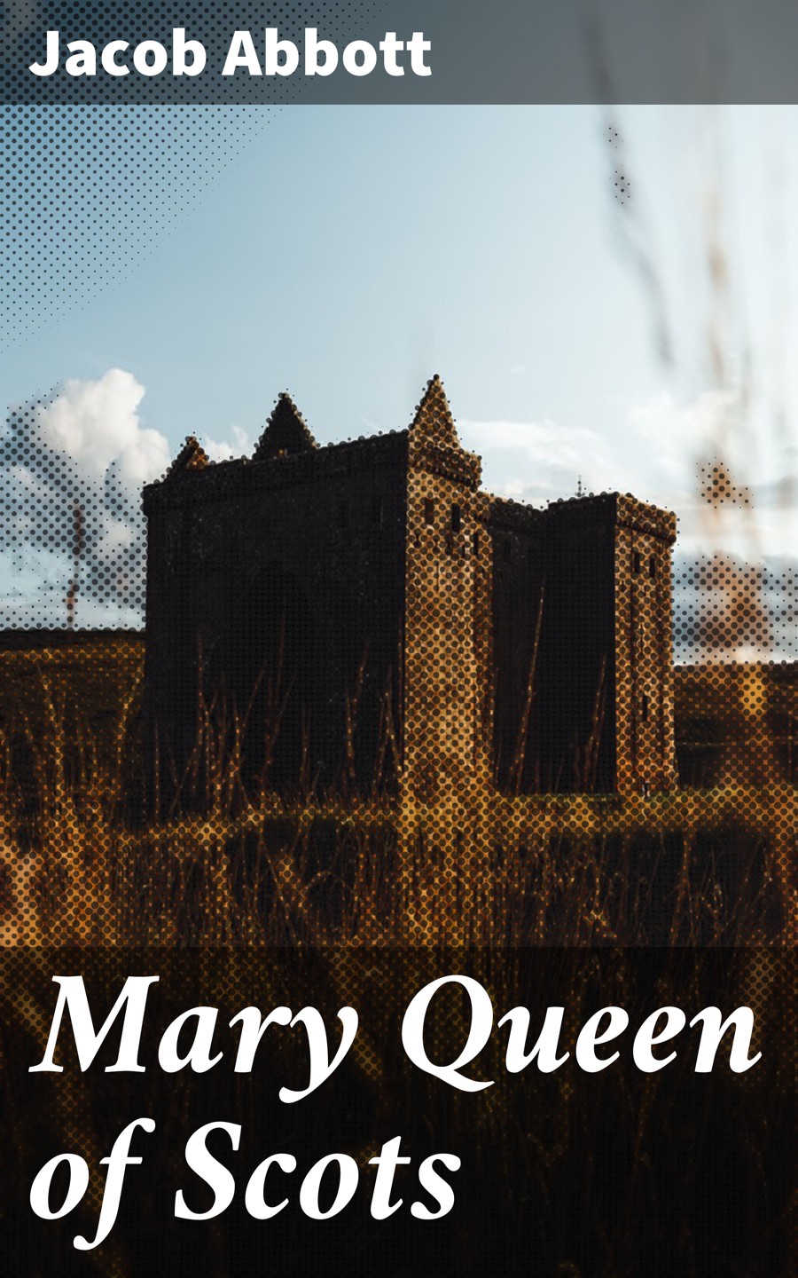 Mary Queen Of Scots Jacob Abbott