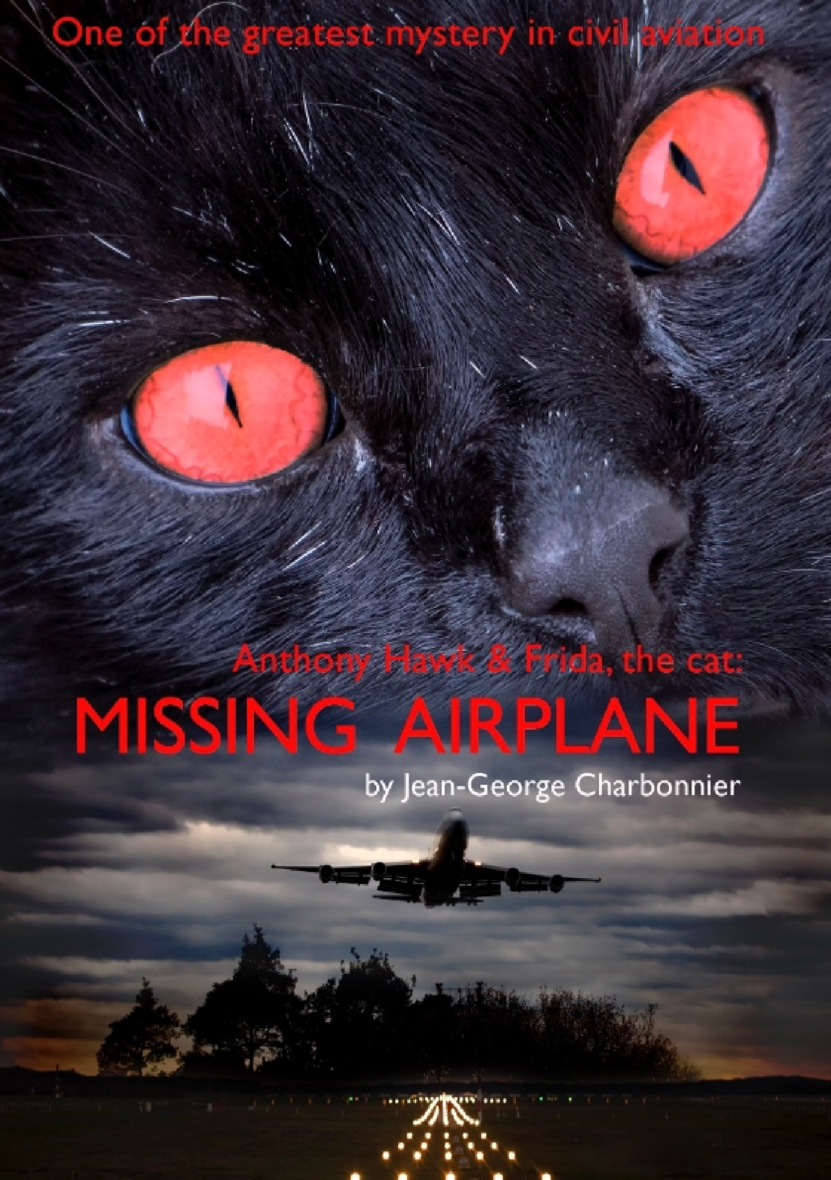 Anthony Hawk And Frida The Cat Missing Airplane Jeangeorge Charbonnier