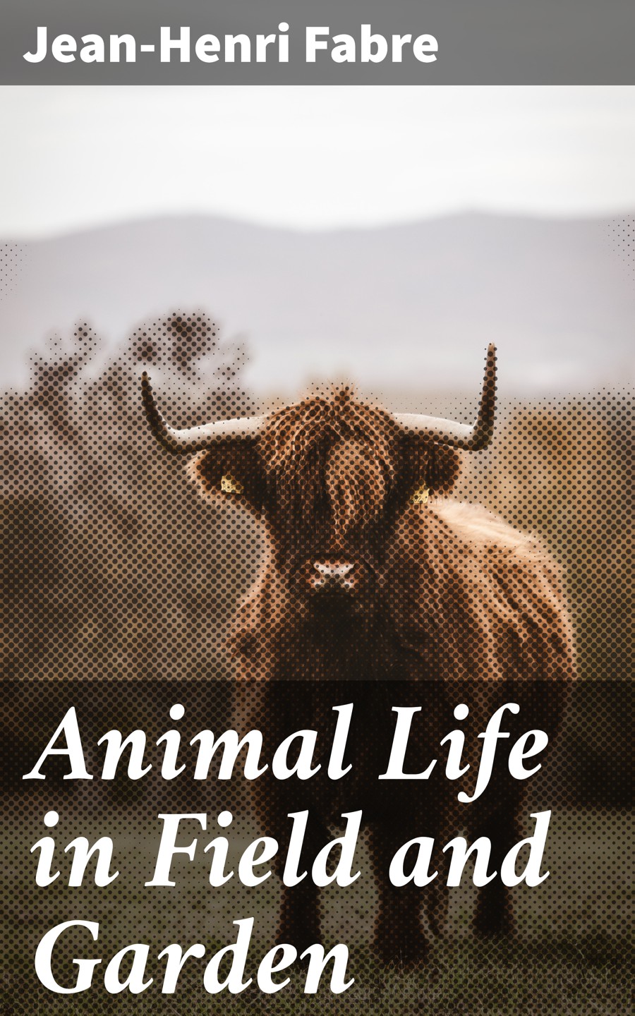 Animal Life In Field And Garden Jeanhenri Fabre