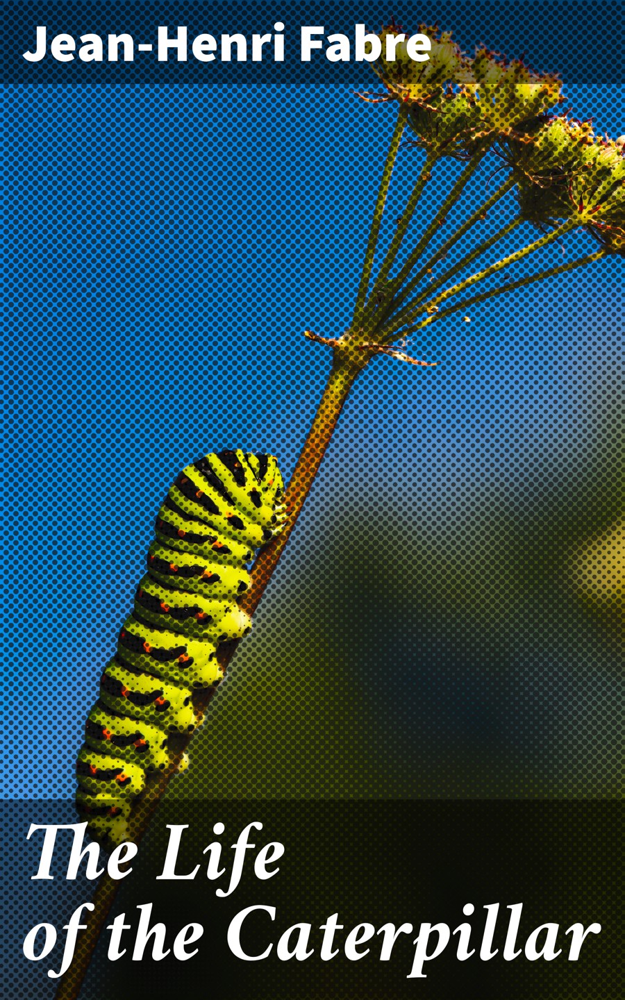 The Life Of The Caterpillar Jeanhenri Fabre