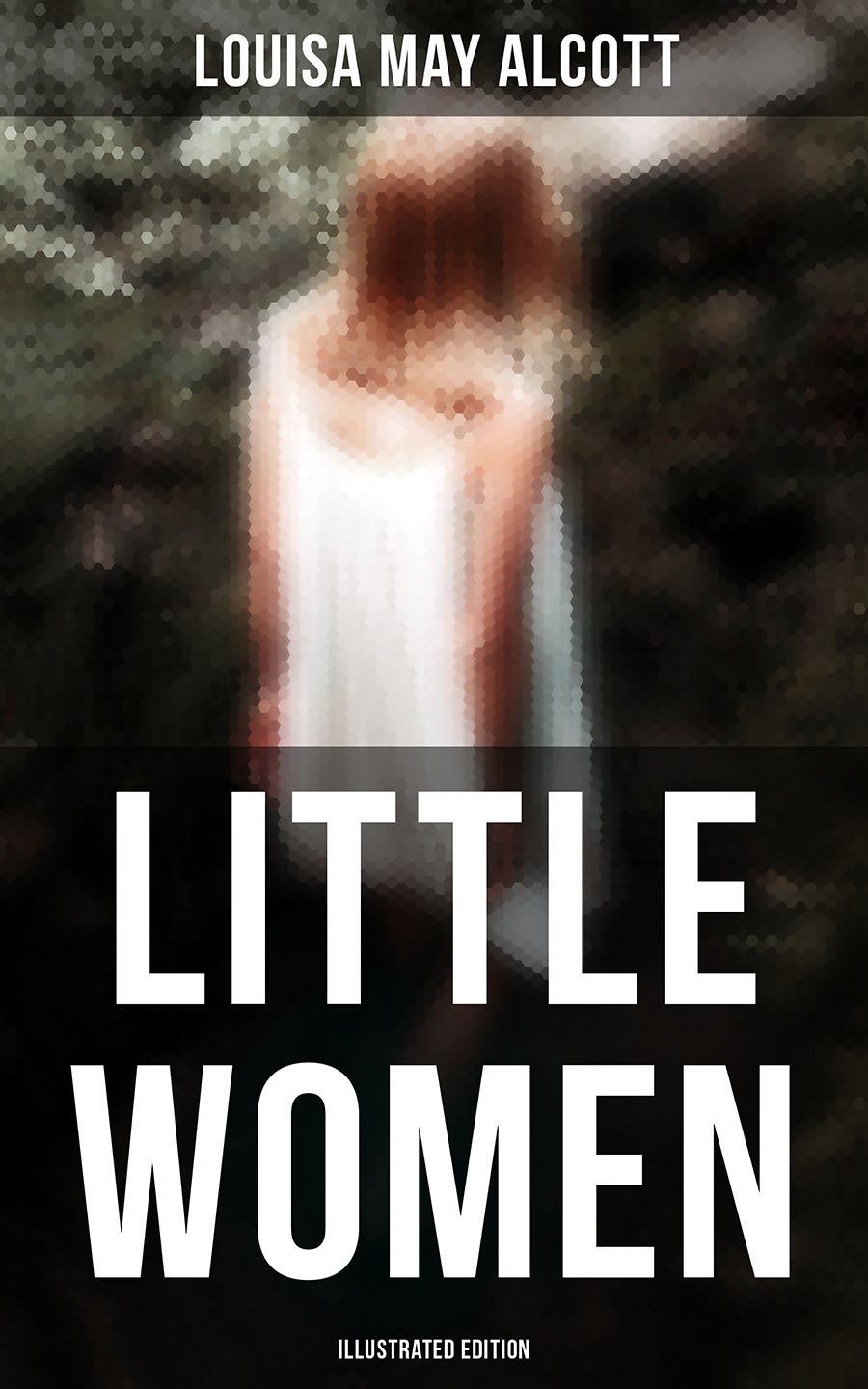 Little Women Illustrated Edition Louisa May Alcott