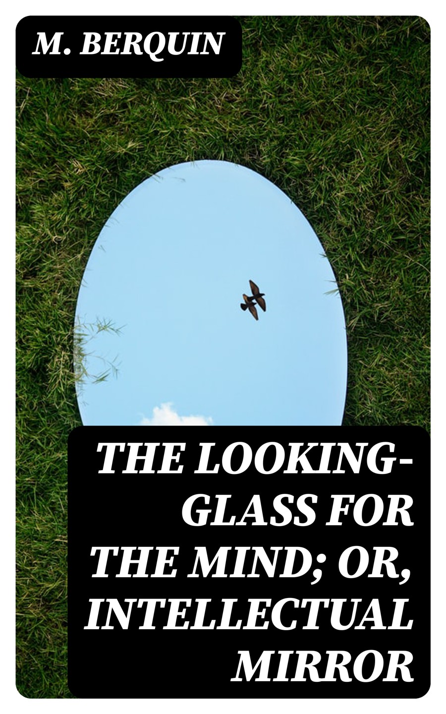 The Lookingglass For The Mind Or Intellectual Mirror M Berquin