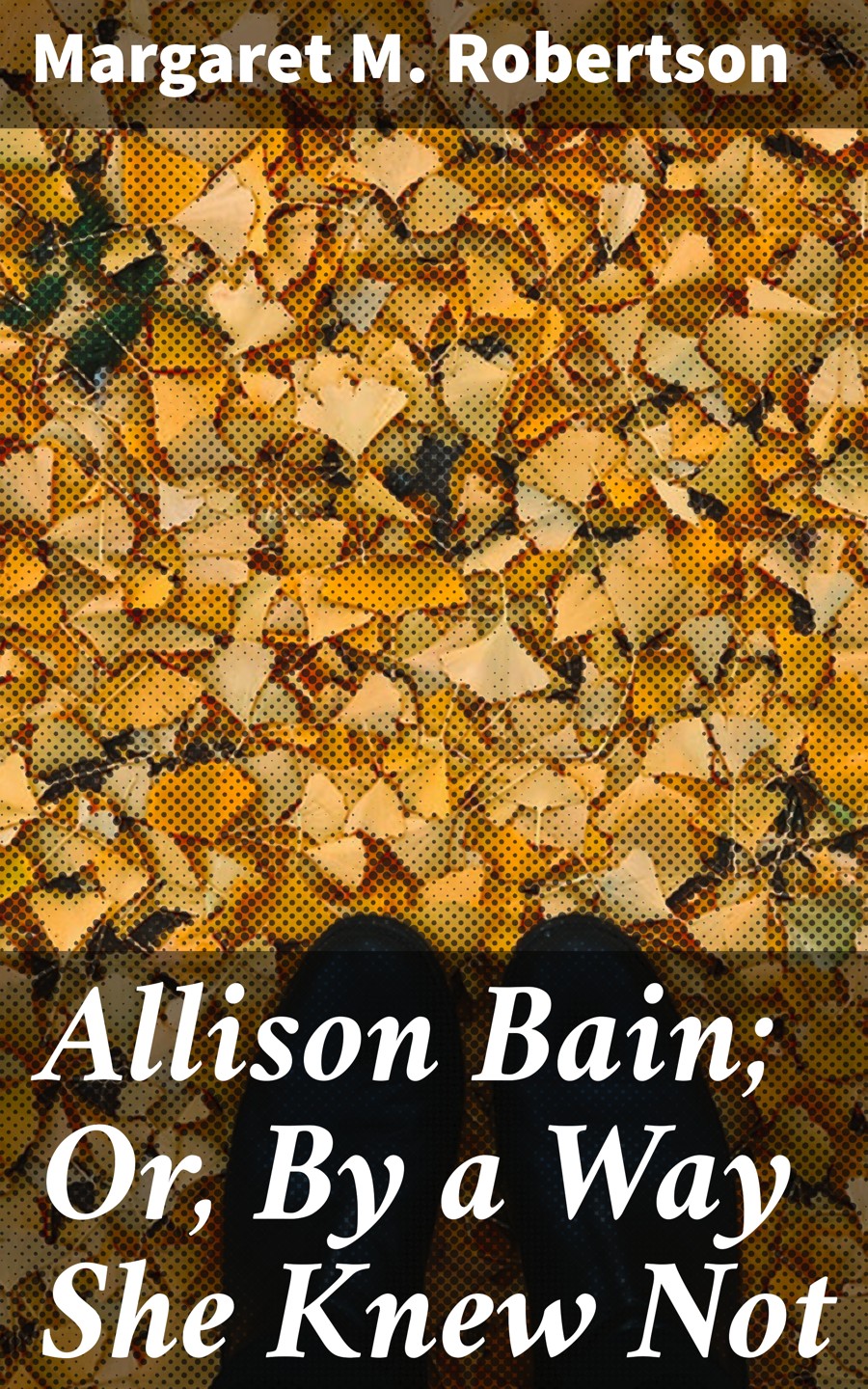 Allison Bain Or By A Way She Knew Not Margaret M Robertson