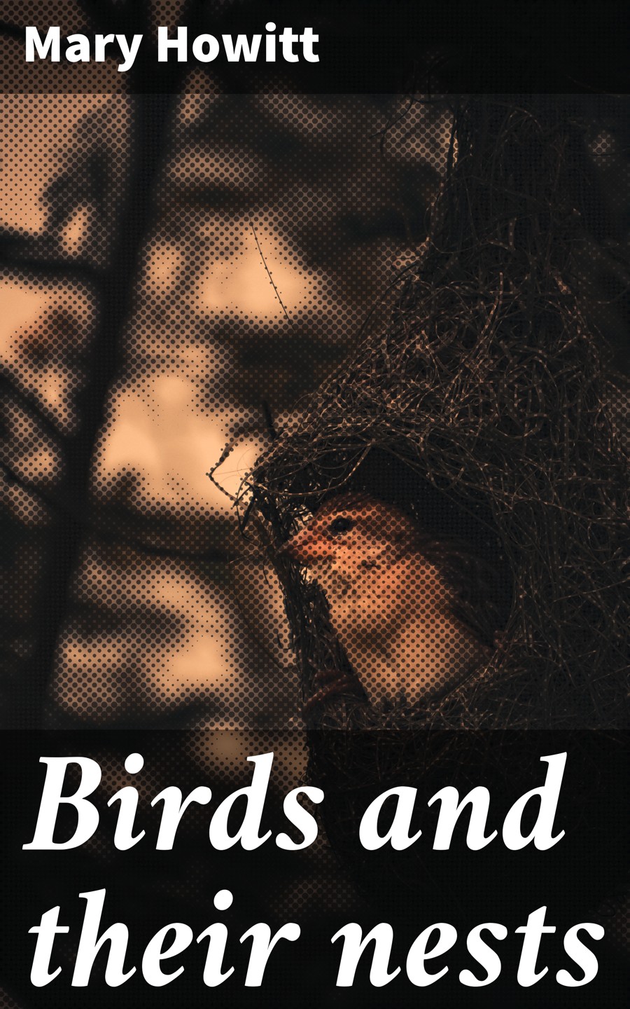 Birds And Their Nests Mary Howitt