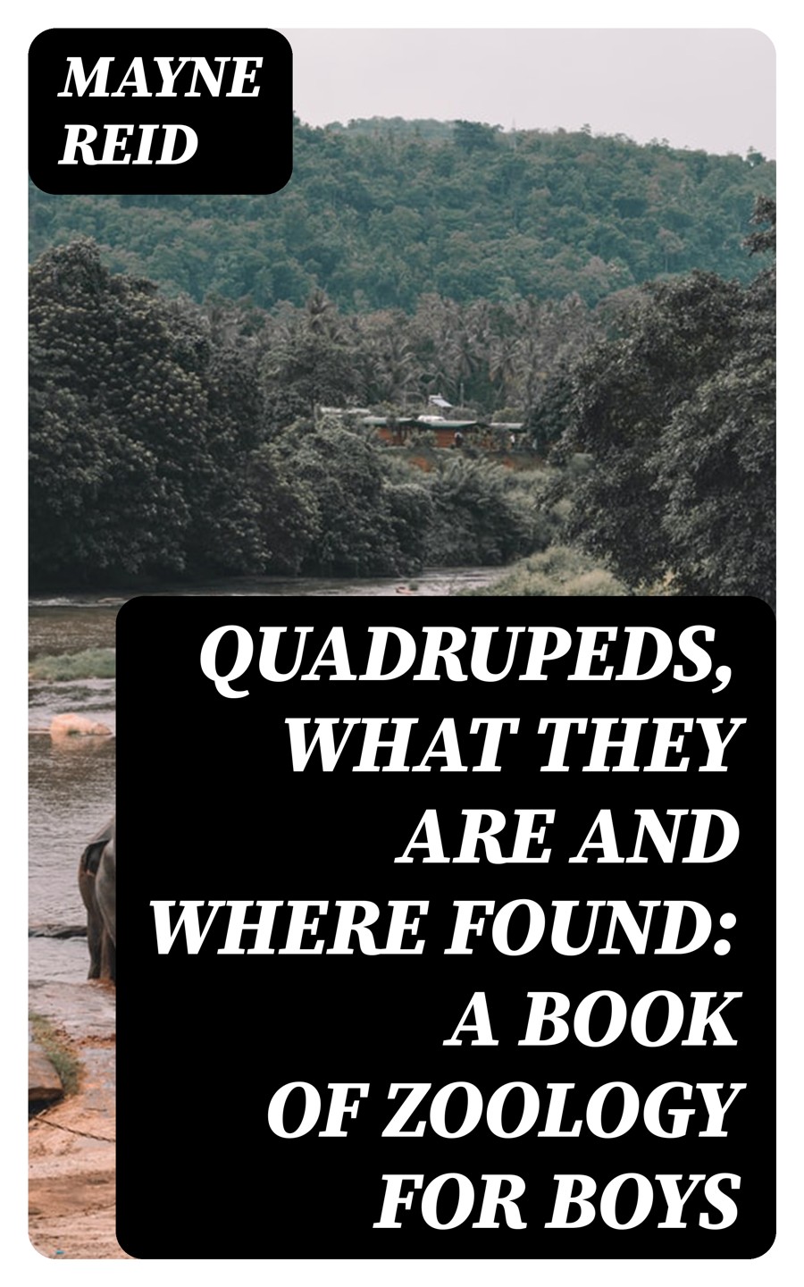 Quadrupeds What They Are And Where Found A Book Of Zoology For Boys Mayne Reid
