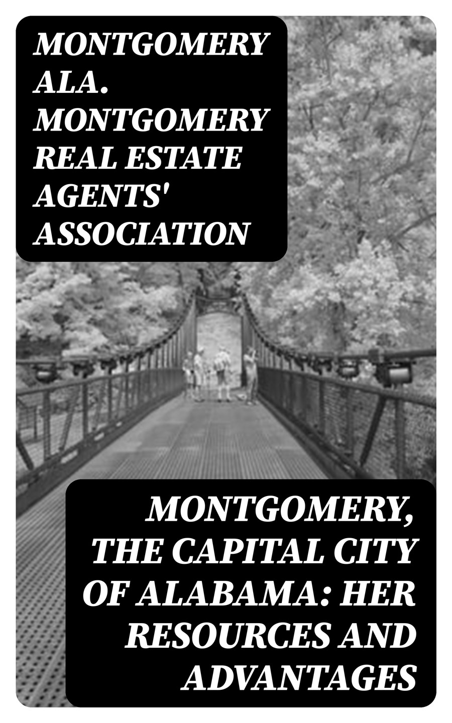 Montgomery The Capital City Of Alabama Her Resources And Advantages Montgomery Ala Montgomery Real Estate Agents Association