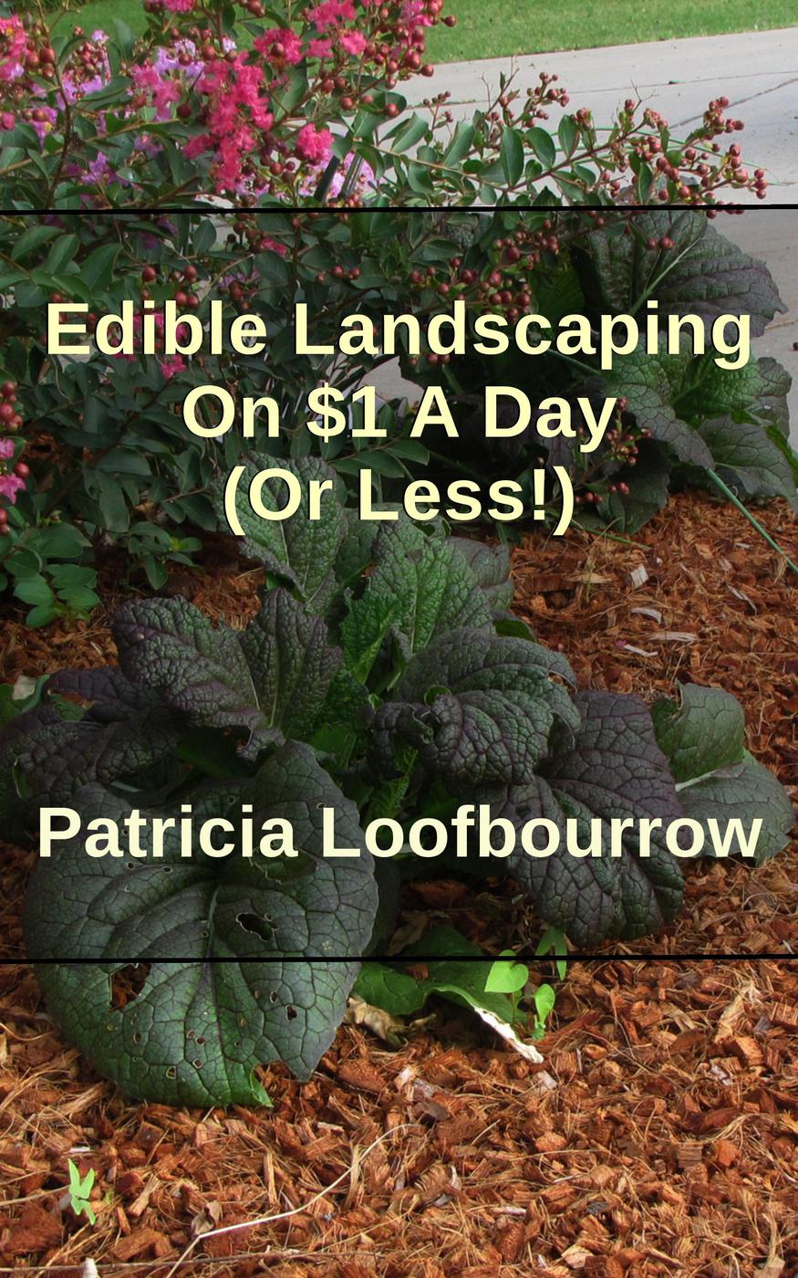 Edible Landscaping On 1 A Day Or Less Patricia Loofbourrow