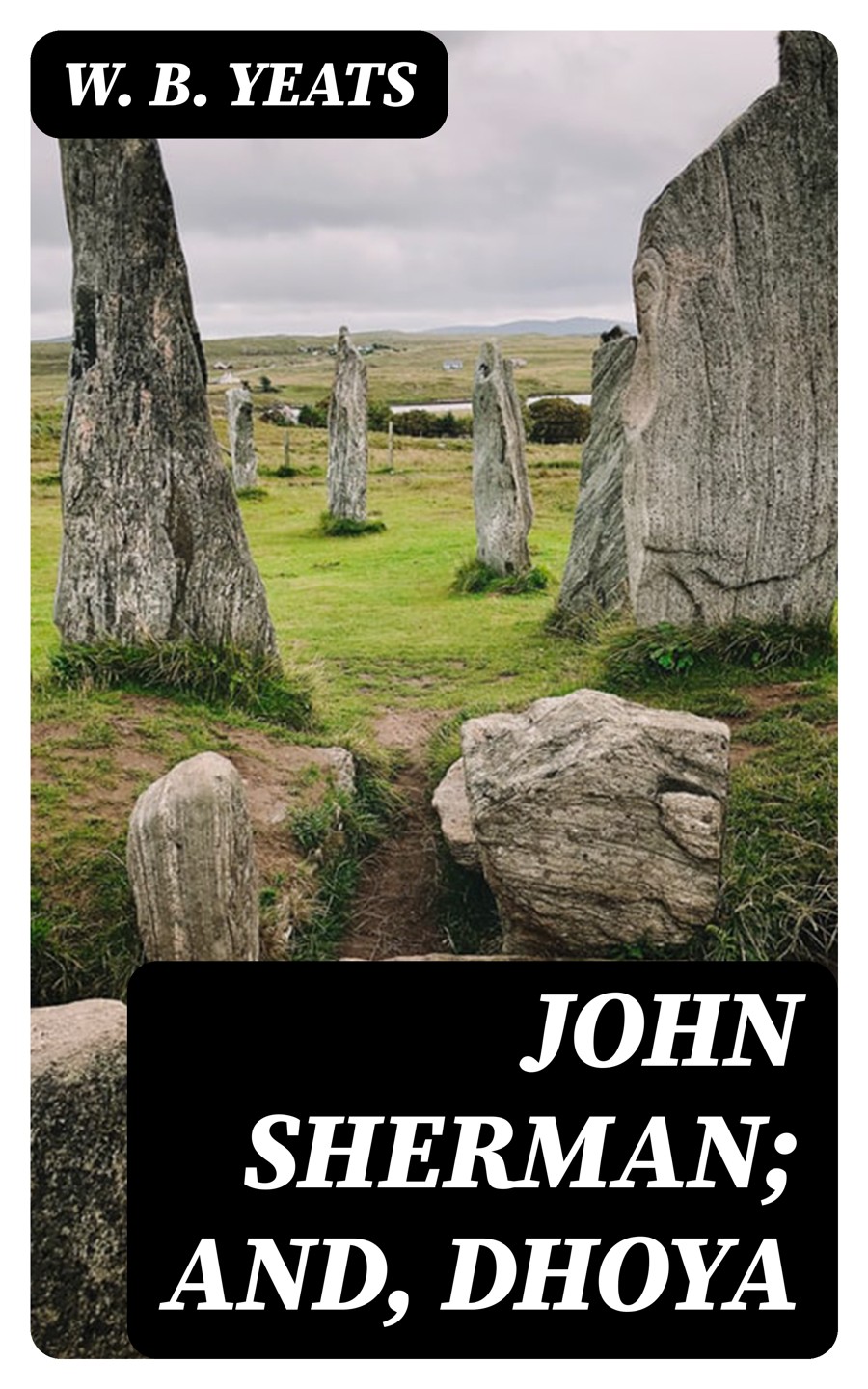 John Sherman And Dhoya W B Yeats