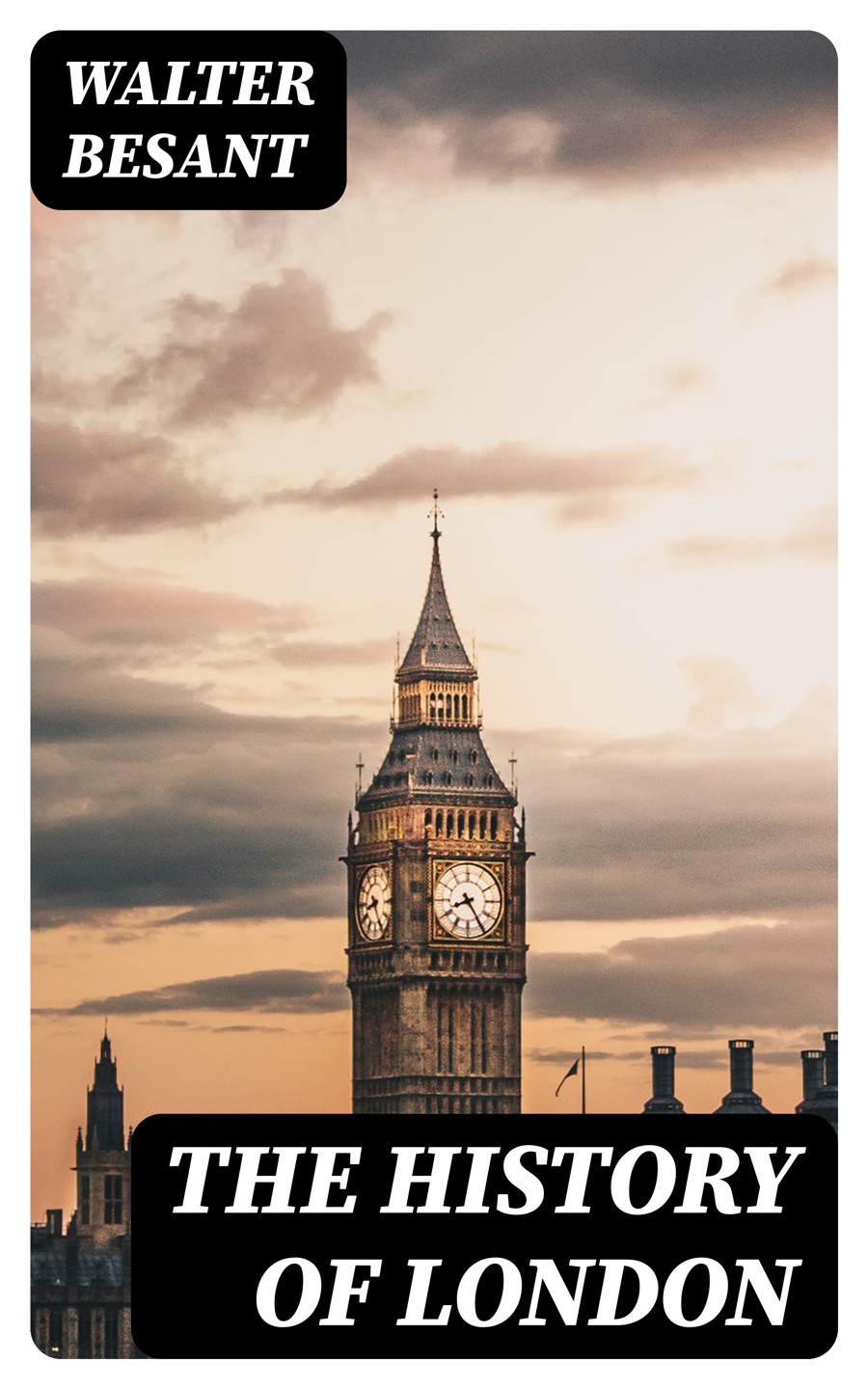 The History Of London Walter Besant