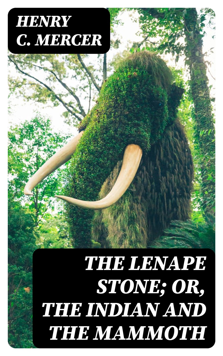 The Lenape Stone Or The Indian And The Mammoth Henry C Mercer