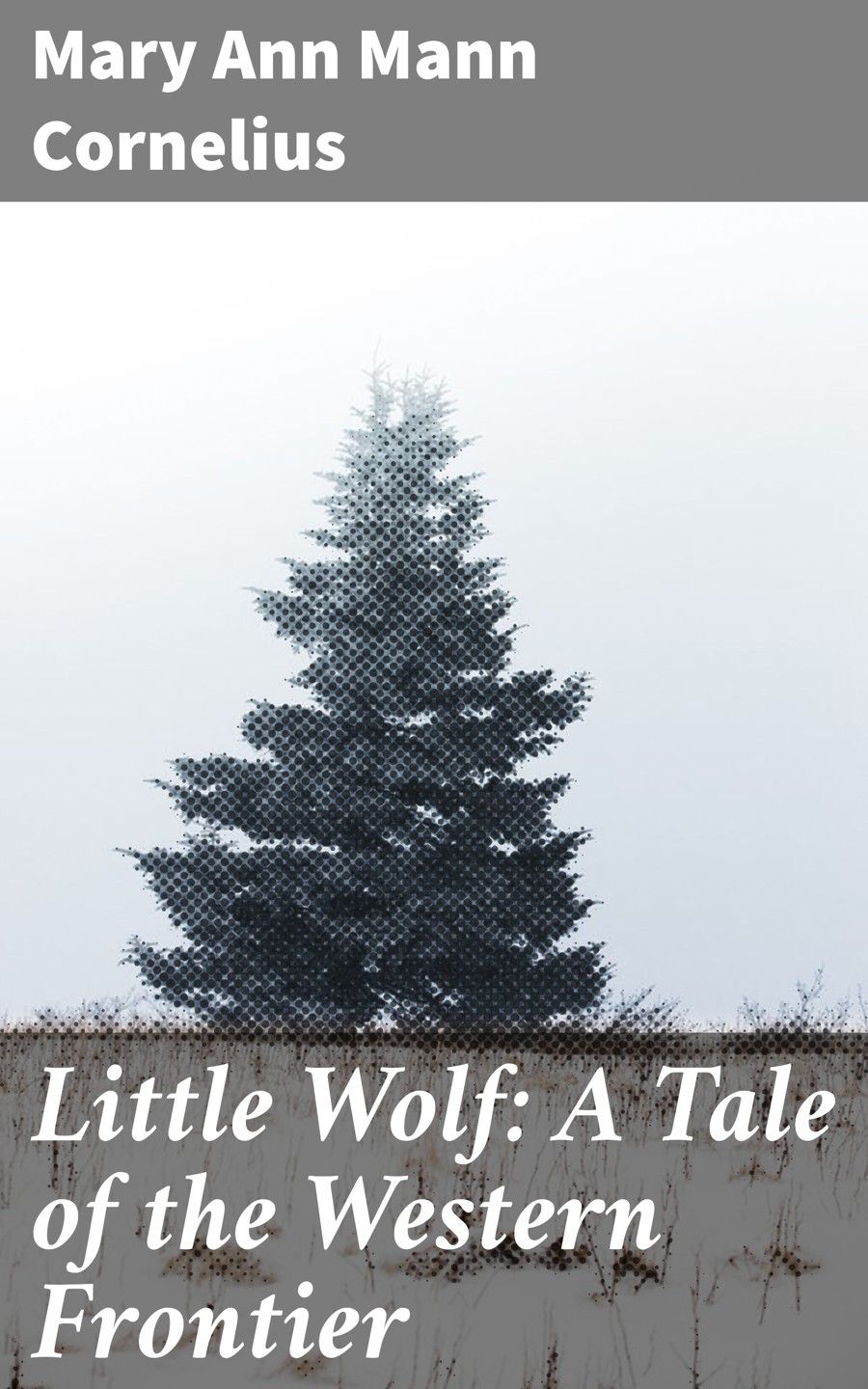 Little Wolf A Tale Of The Western Frontier Mary Ann Mann Cornelius