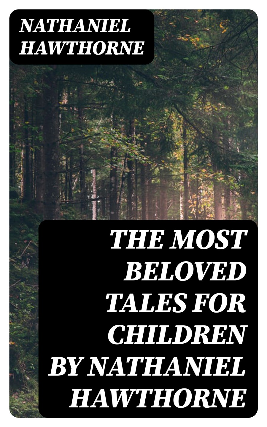Nathaniel Hawthornes Wonderful Tales For Children Illustrated Nathaniel Hawthorne