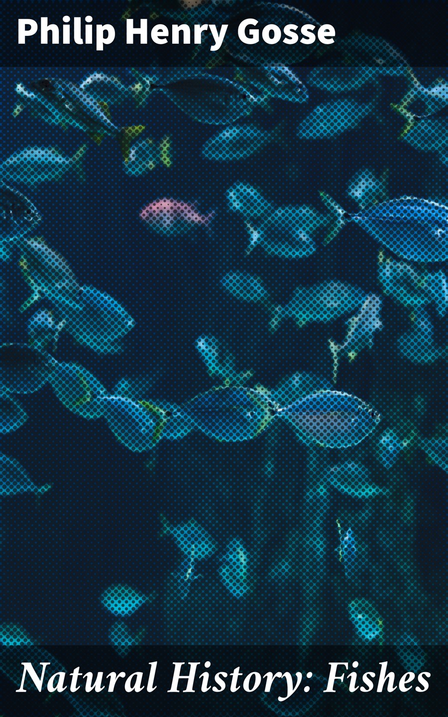 Natural History Fishes Philip Henry Gosse