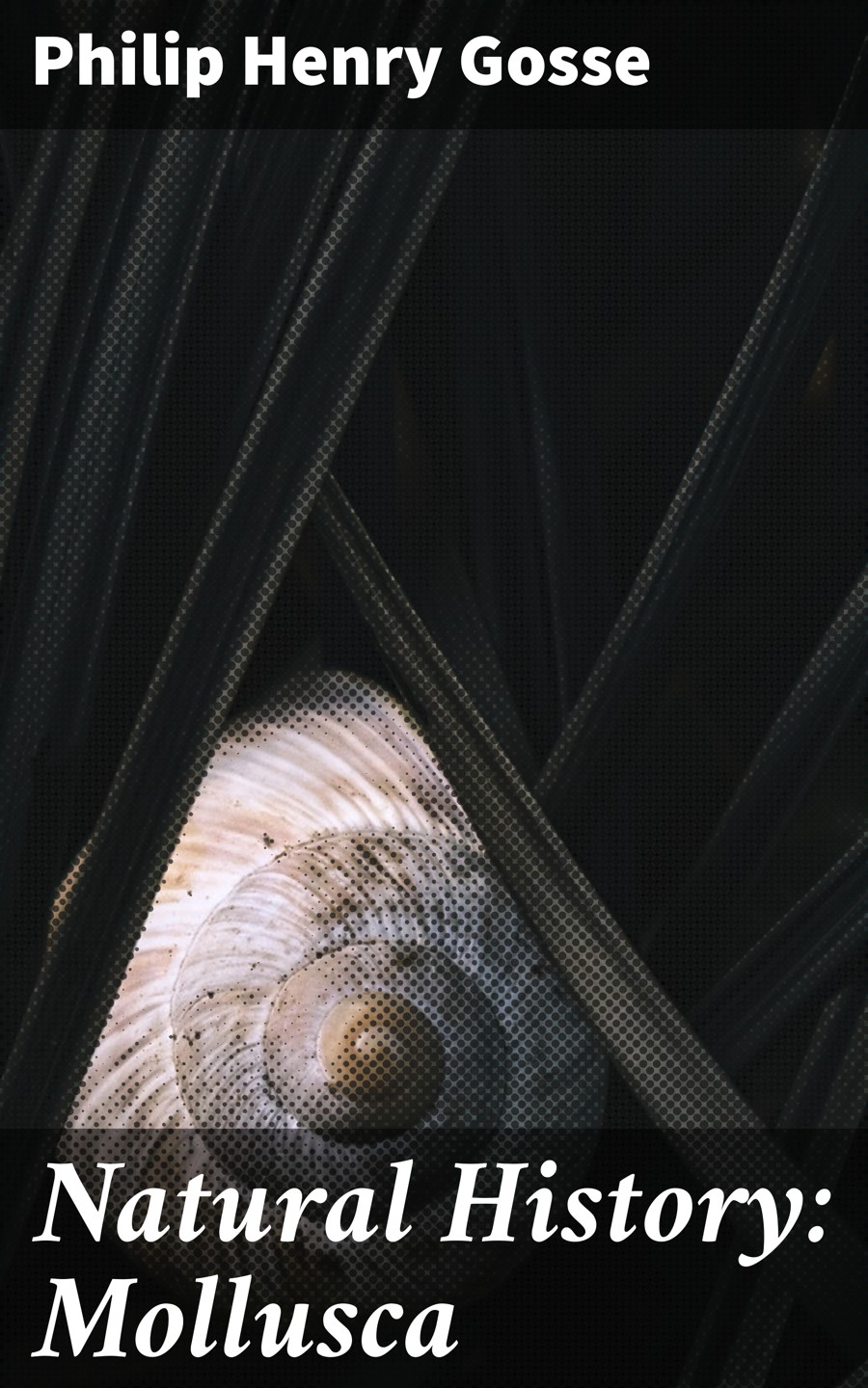 Natural History Mollusca Philip Henry Gosse