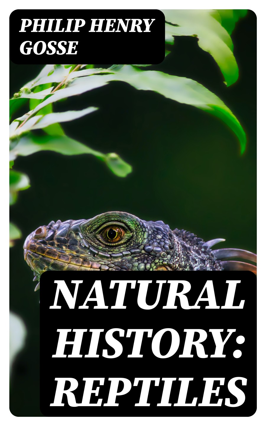 Natural History Reptiles Philip Henry Gosse