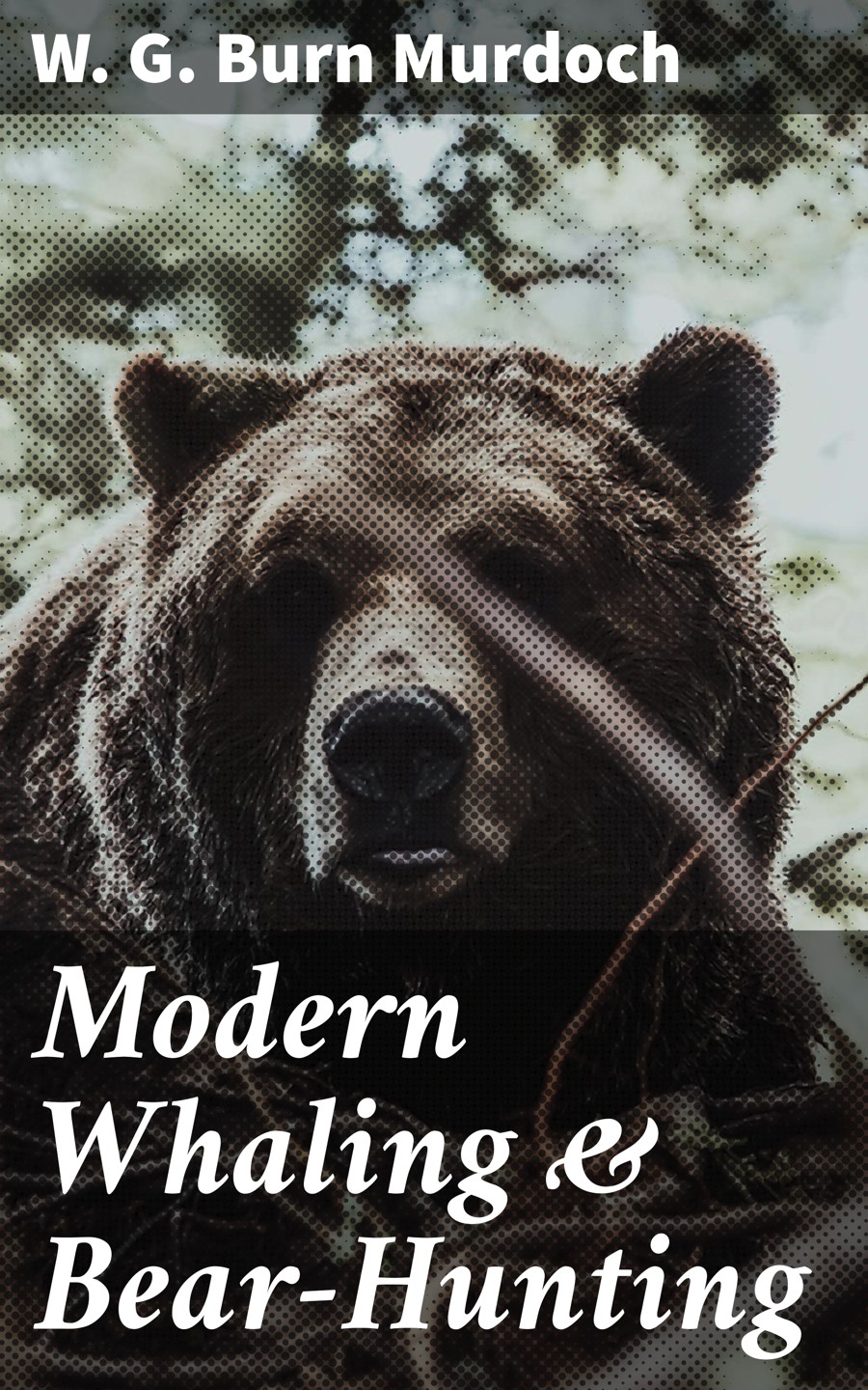 Modern Whaling Bearhunting W G Burn Murdoch