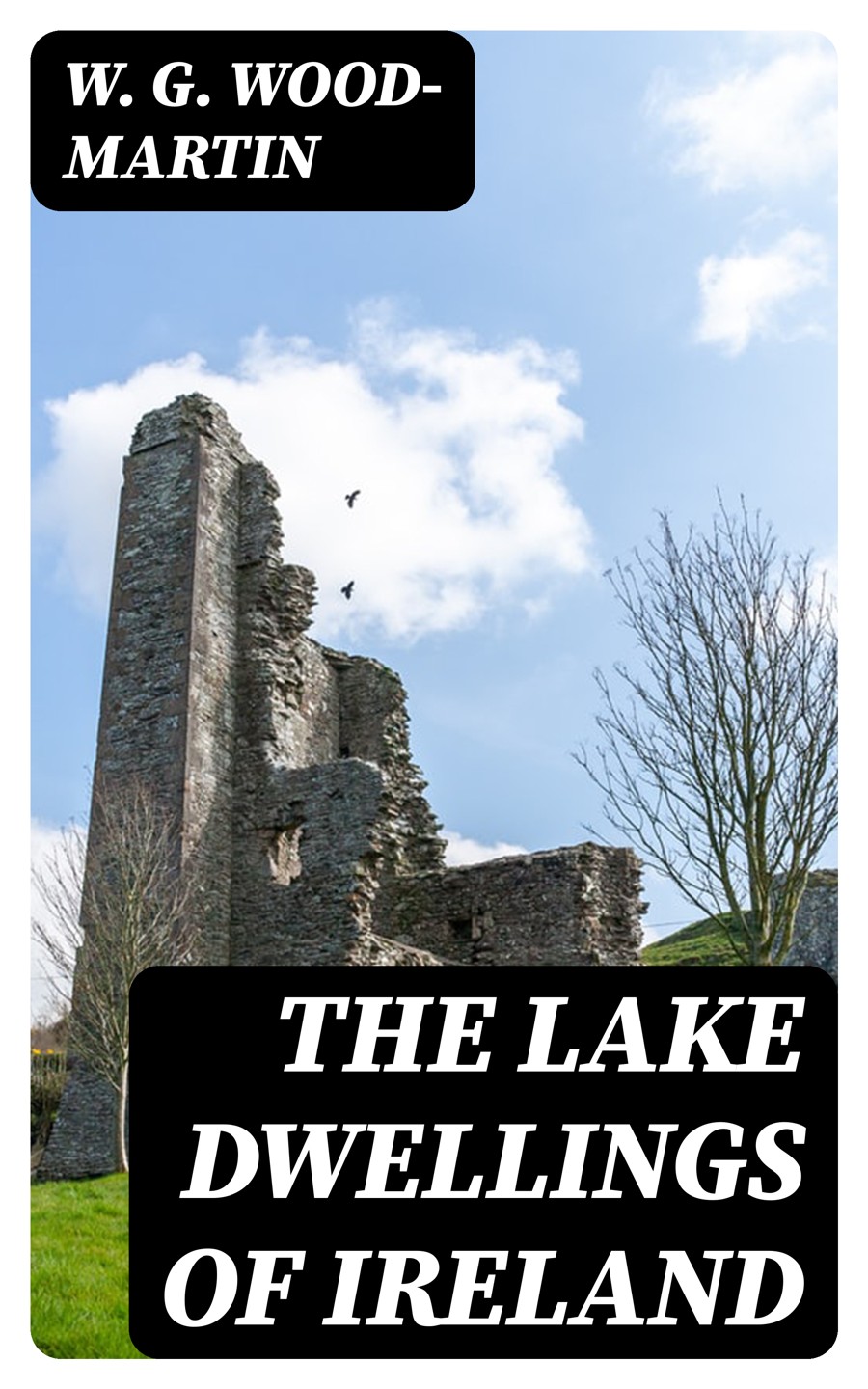 The Lake Dwellings Of Ireland W G Woodmartin