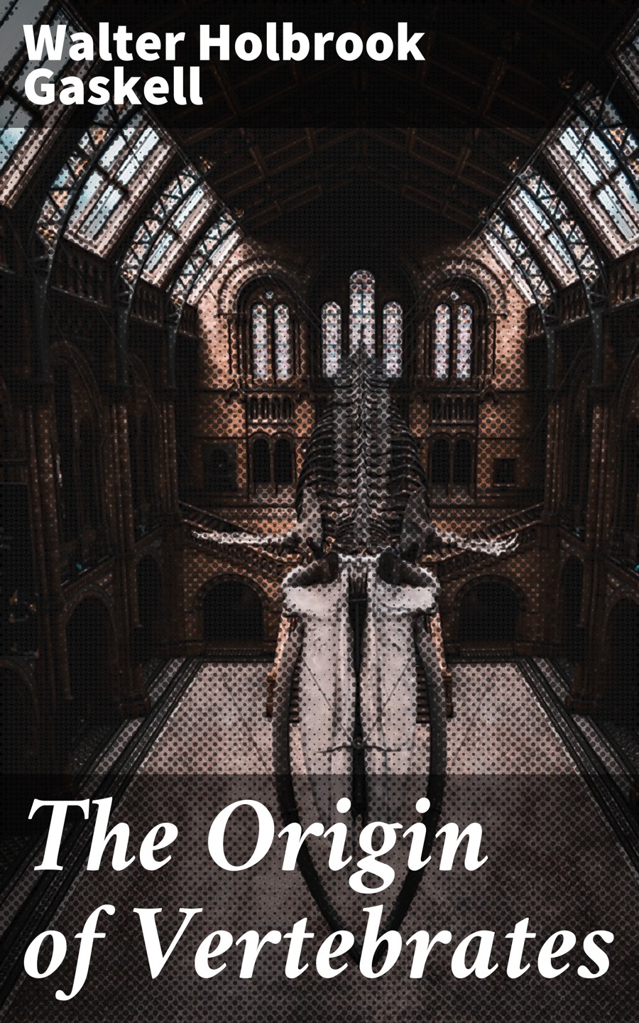 The Origin Of Vertebrates Walter Holbrook Gaskell