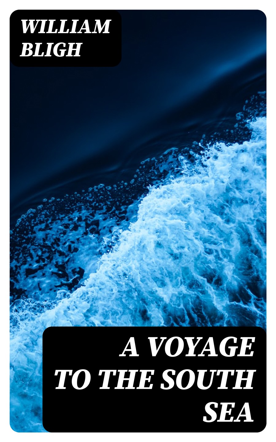 A Voyage To The South Sea William Bligh
