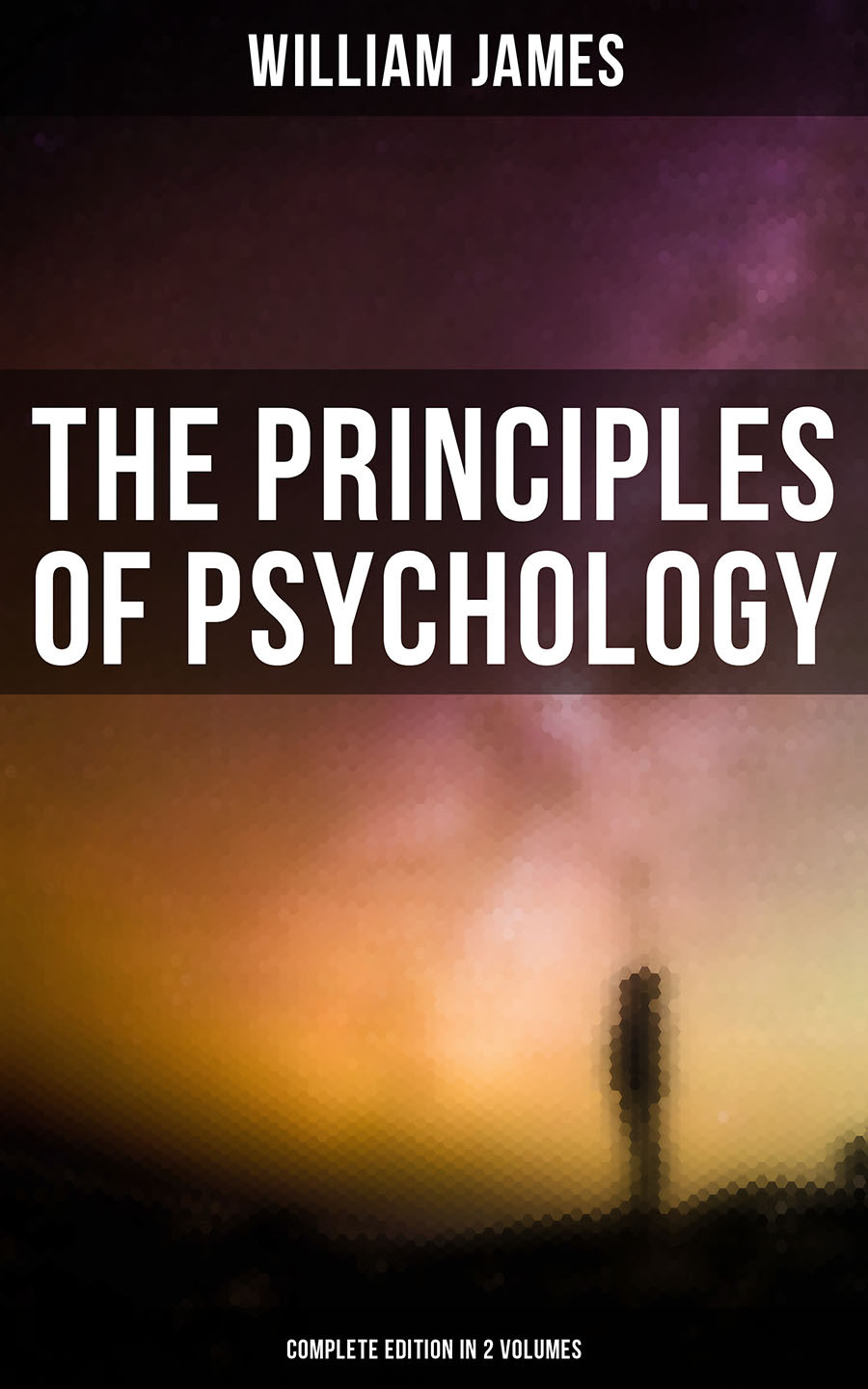 The Principles Of Psychology Complete Edition In 2 Volumes William James