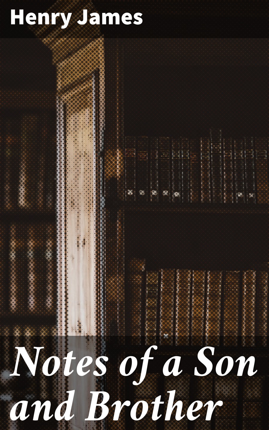 Notes Of A Son And Brother Henry James